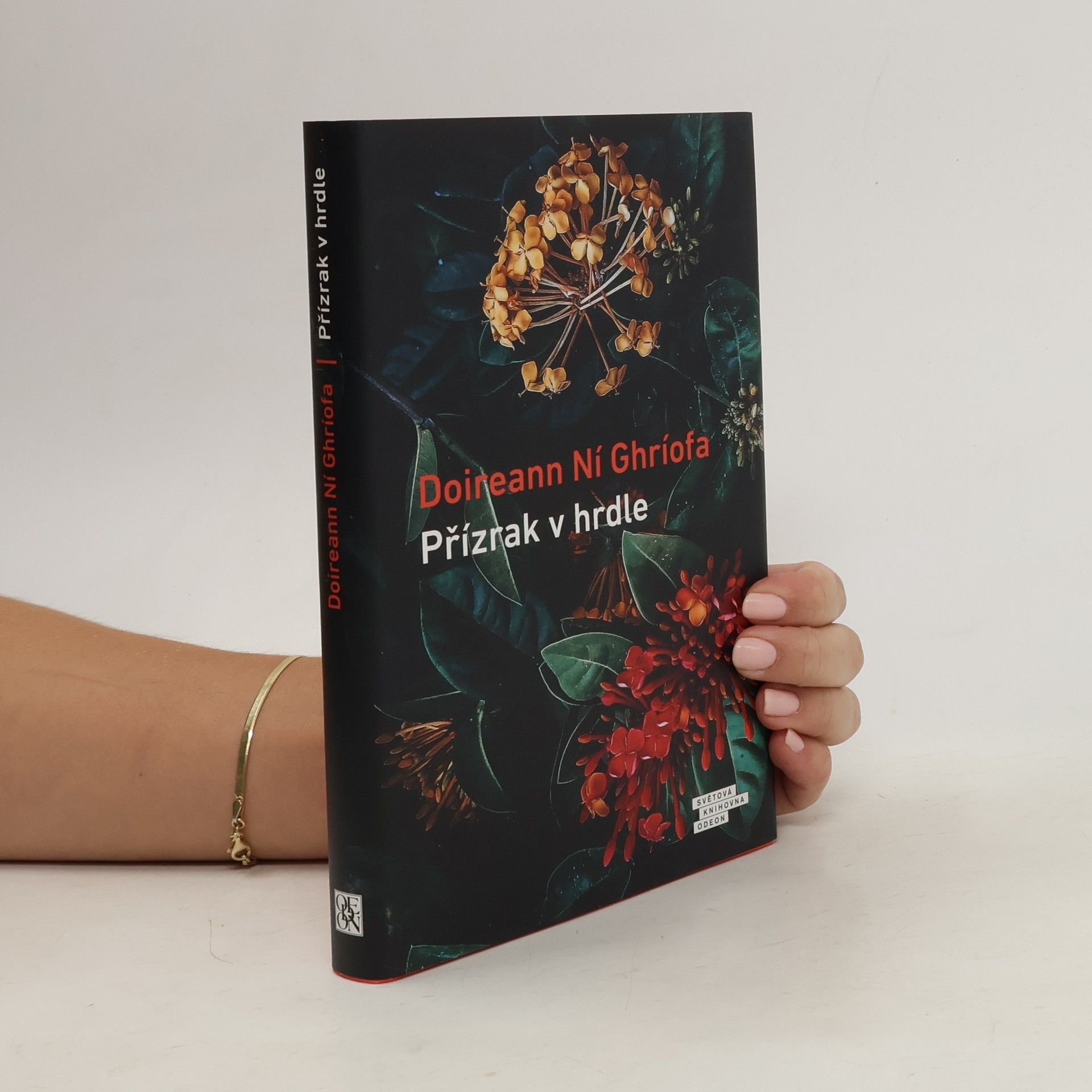 Doireann Ní Ghríofa Přízrak v hrdle