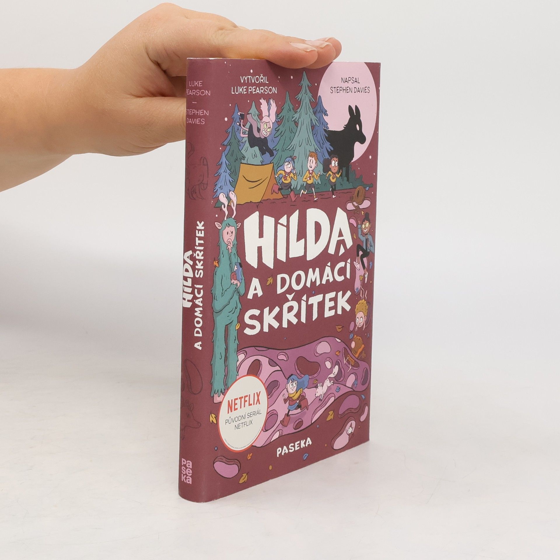 Stephen Davies Hilda a domácí skřítek