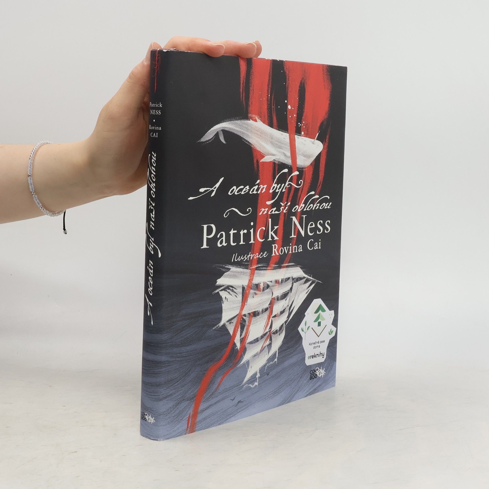Patrick Ness A oceán byl naší oblohou