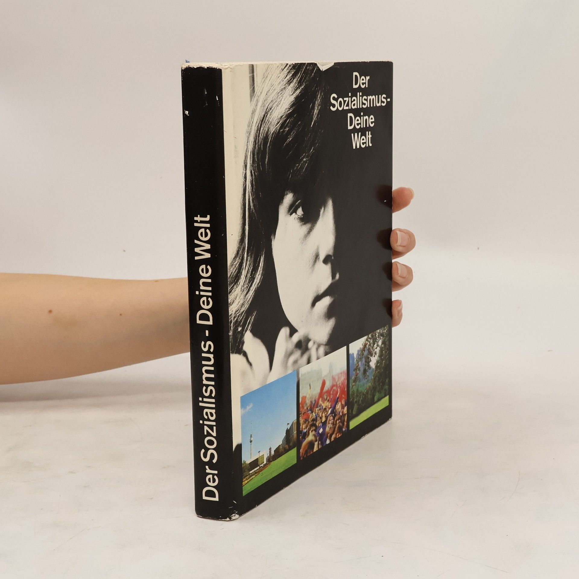 Autores varios Der Sozialismus - Deine Welt