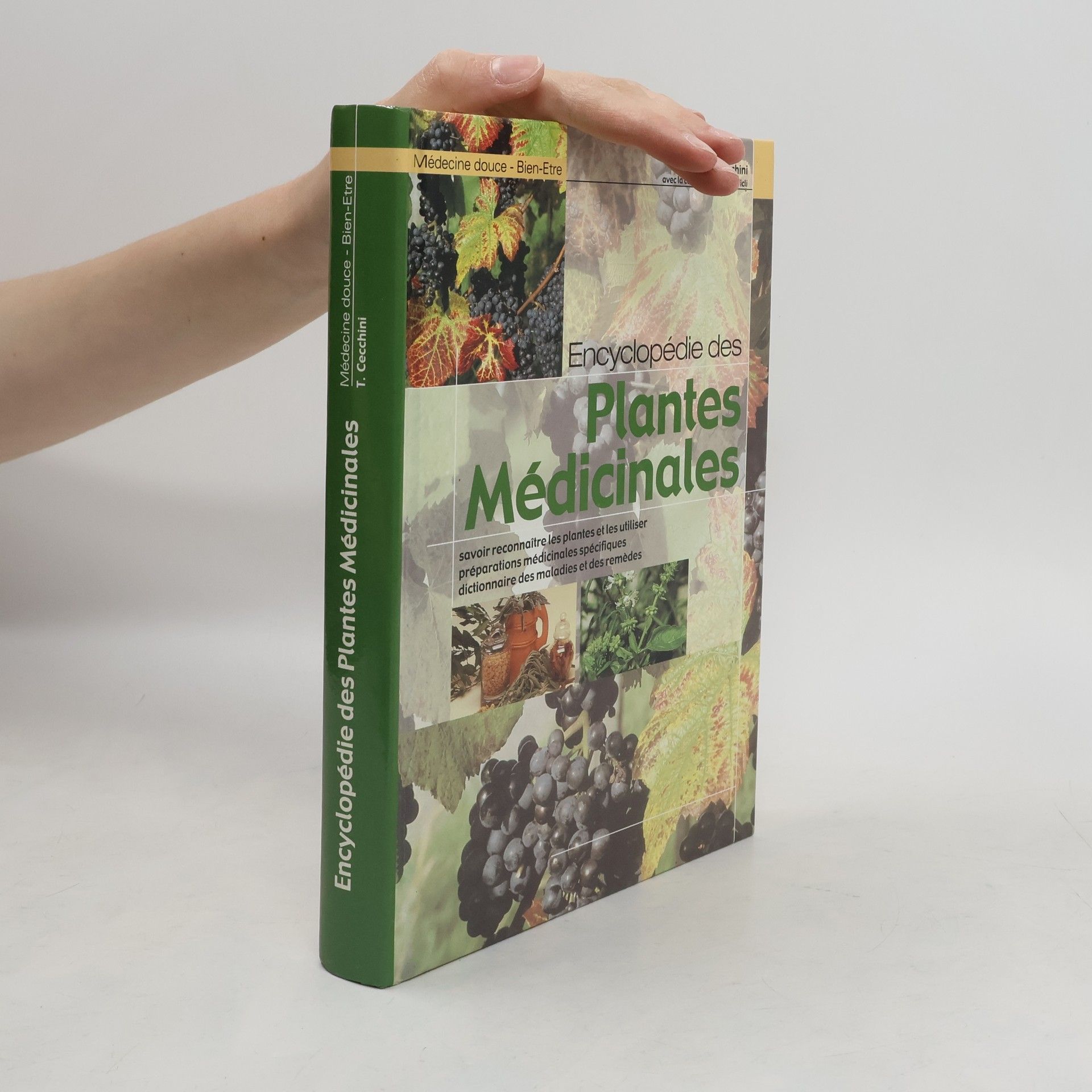 Tina Cecchini Encyclopédie des plantes médicinales