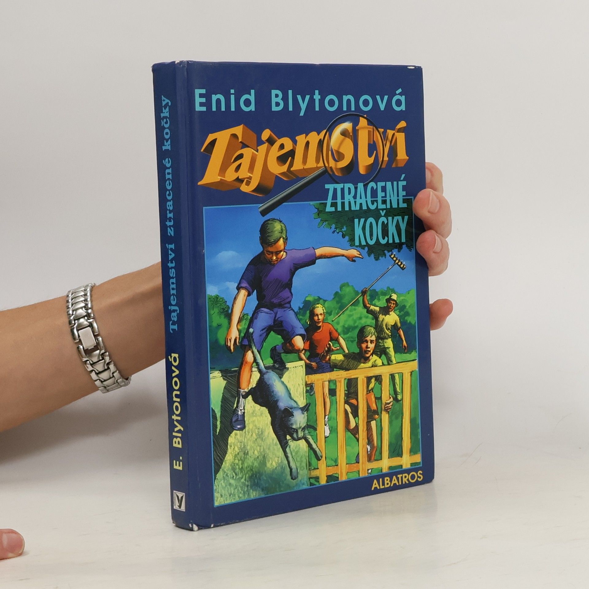 Enid Blyton Tajemství ztracené kočky