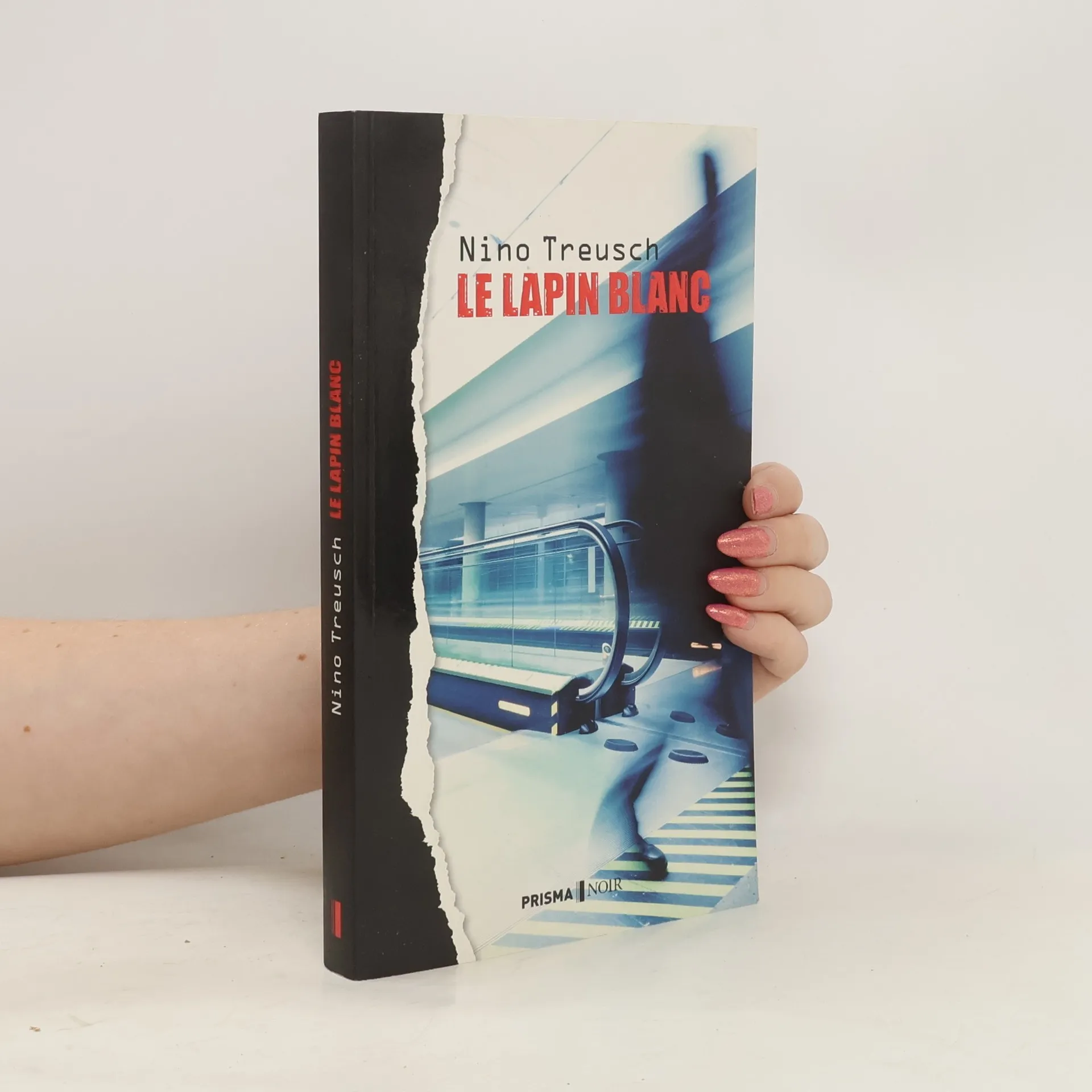 Le lapin blanc | Nino Treusch | French | Book