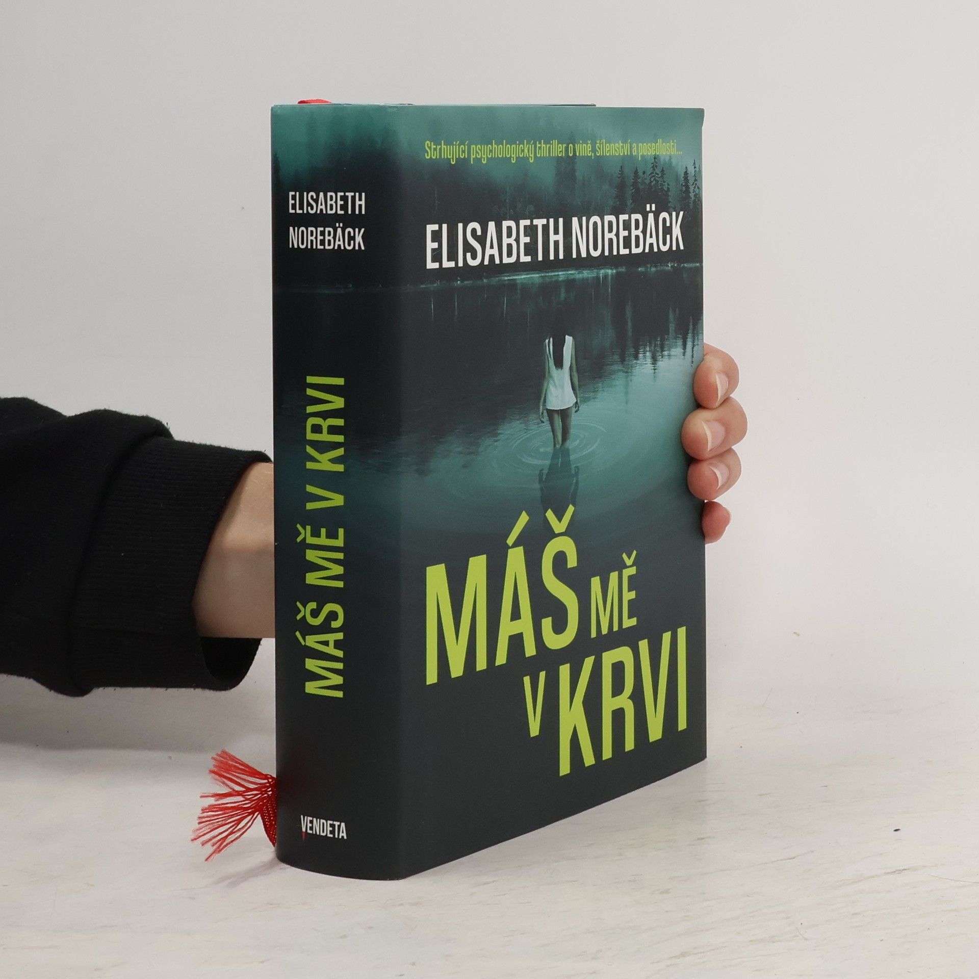 Elisabeth Norebäck Máš mě v krvi