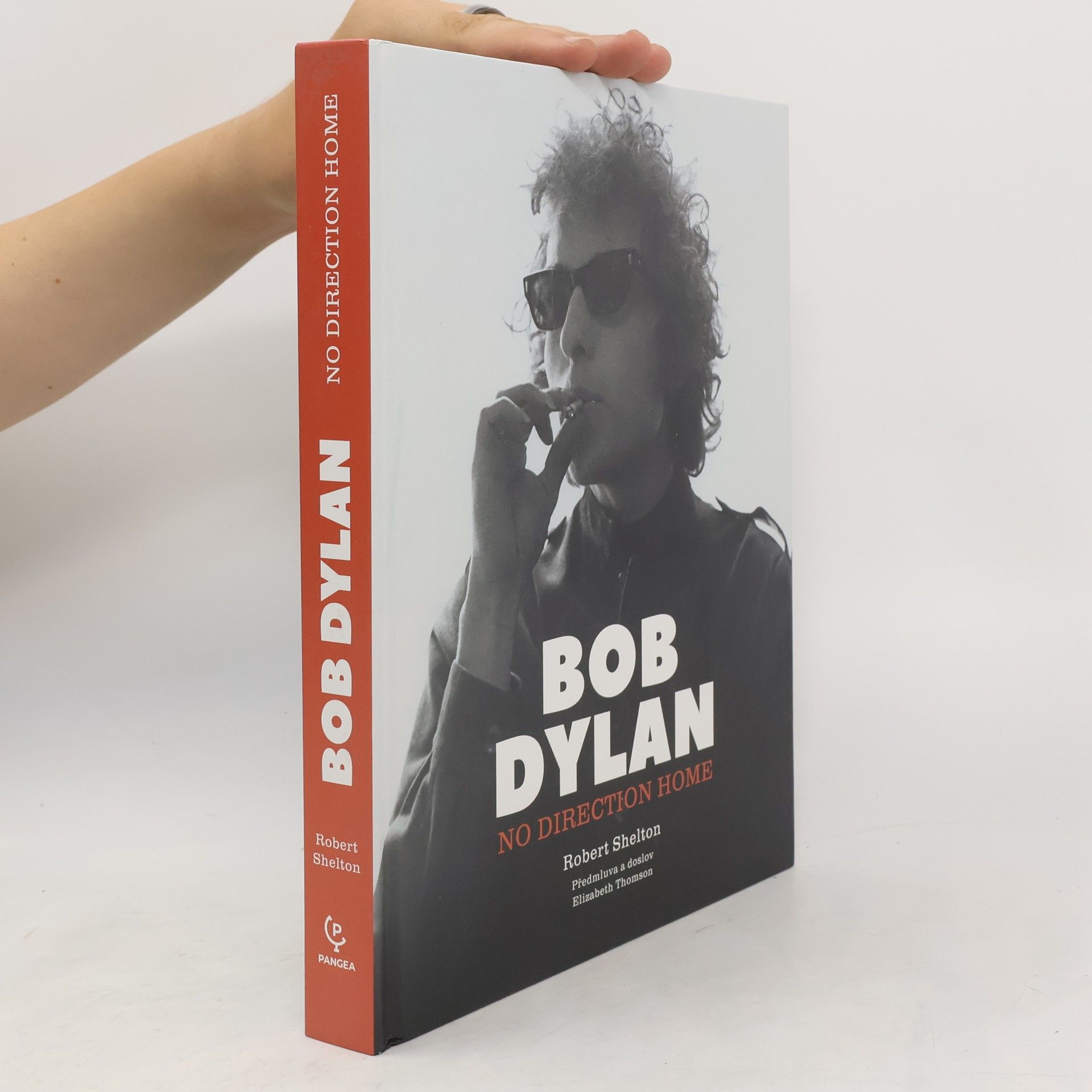 Robert Shelton Bob Dylan: No Direction Home