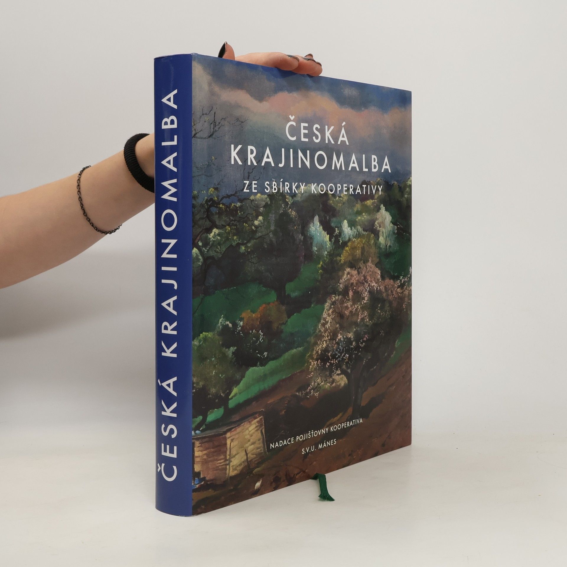 Josef Hora Česká krajinomalba ze sbírky Kooperativy : katalog výstavy Česká krajinomalba