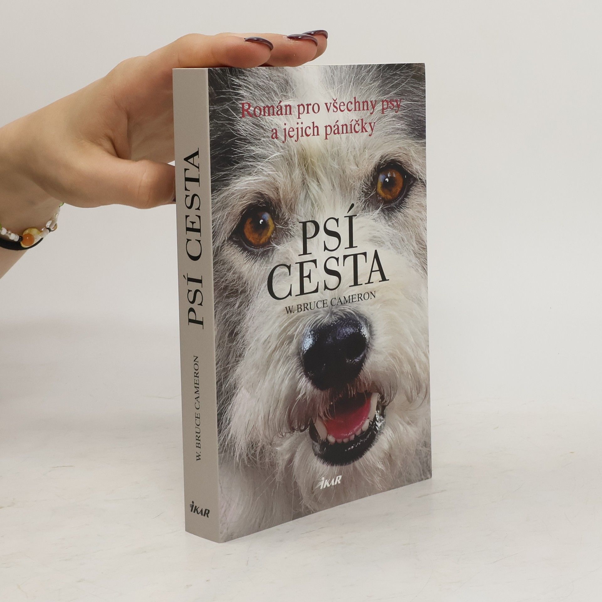 W. Bruce Cameron Psí cesta