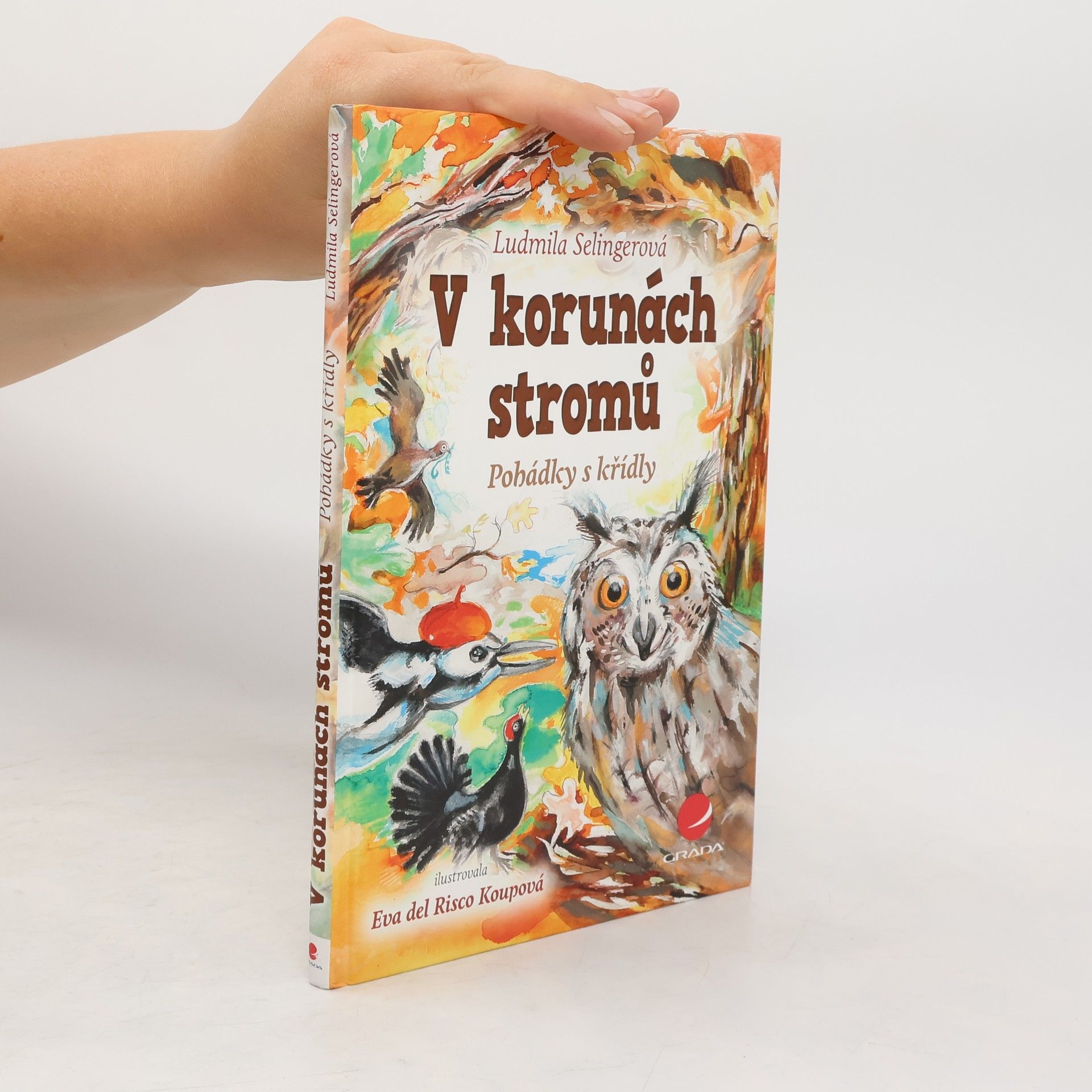 Ludmila Bakonyi Selingerová V korunách stromů : pohádky s křídly