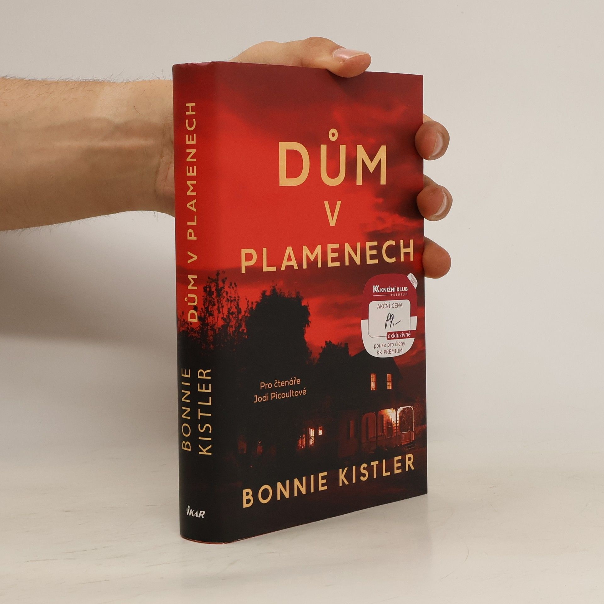Bonnie Kistler Dům v plamenech