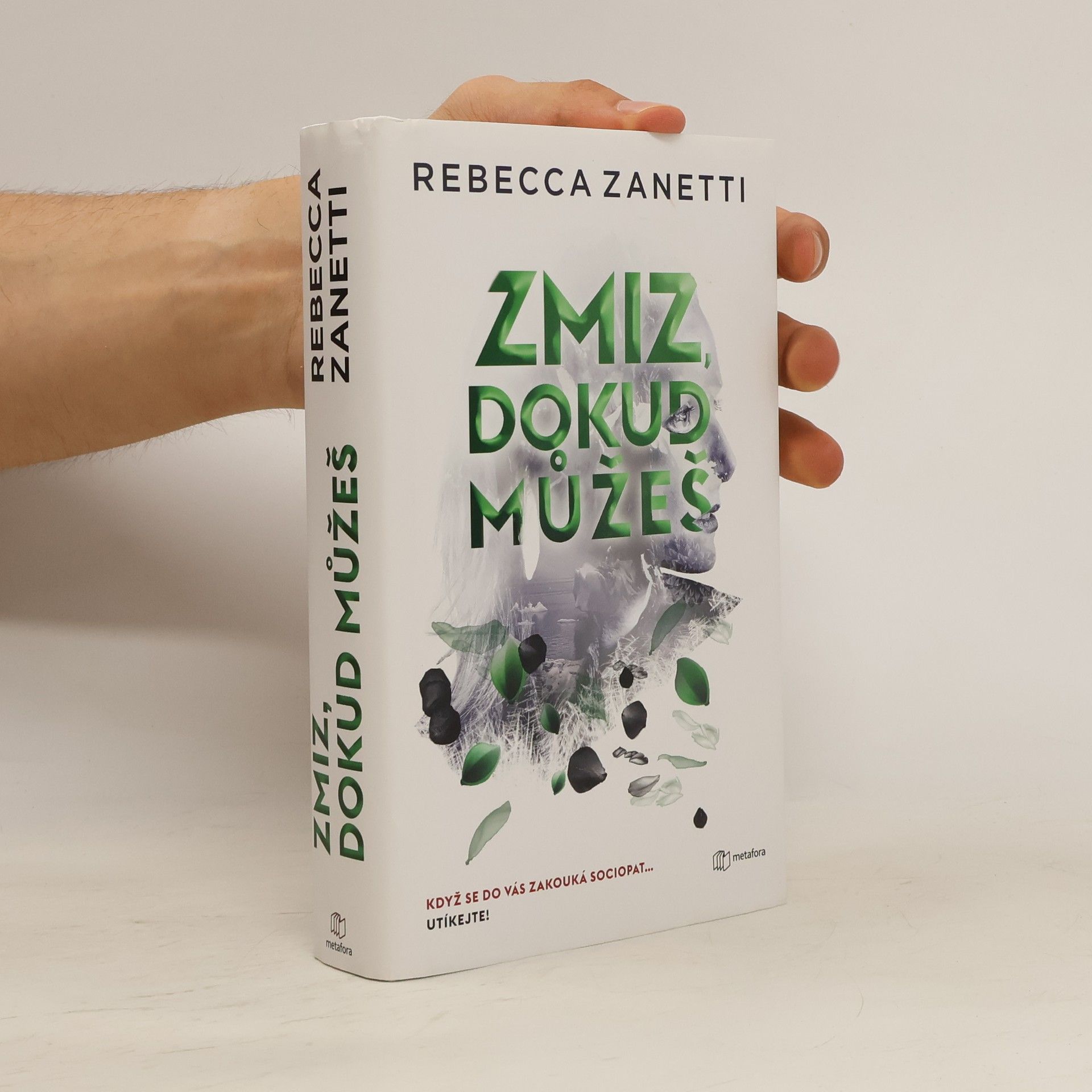 Rebecca Zanetti Zmiz, dokud můžeš