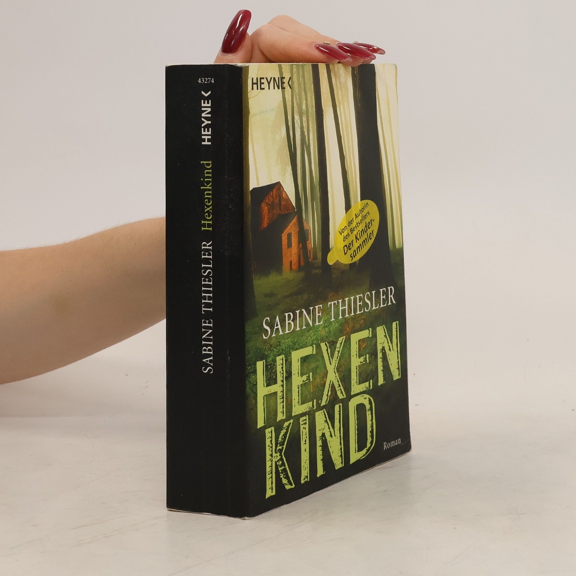 Sabine Thiesler Hexenkind - Roman