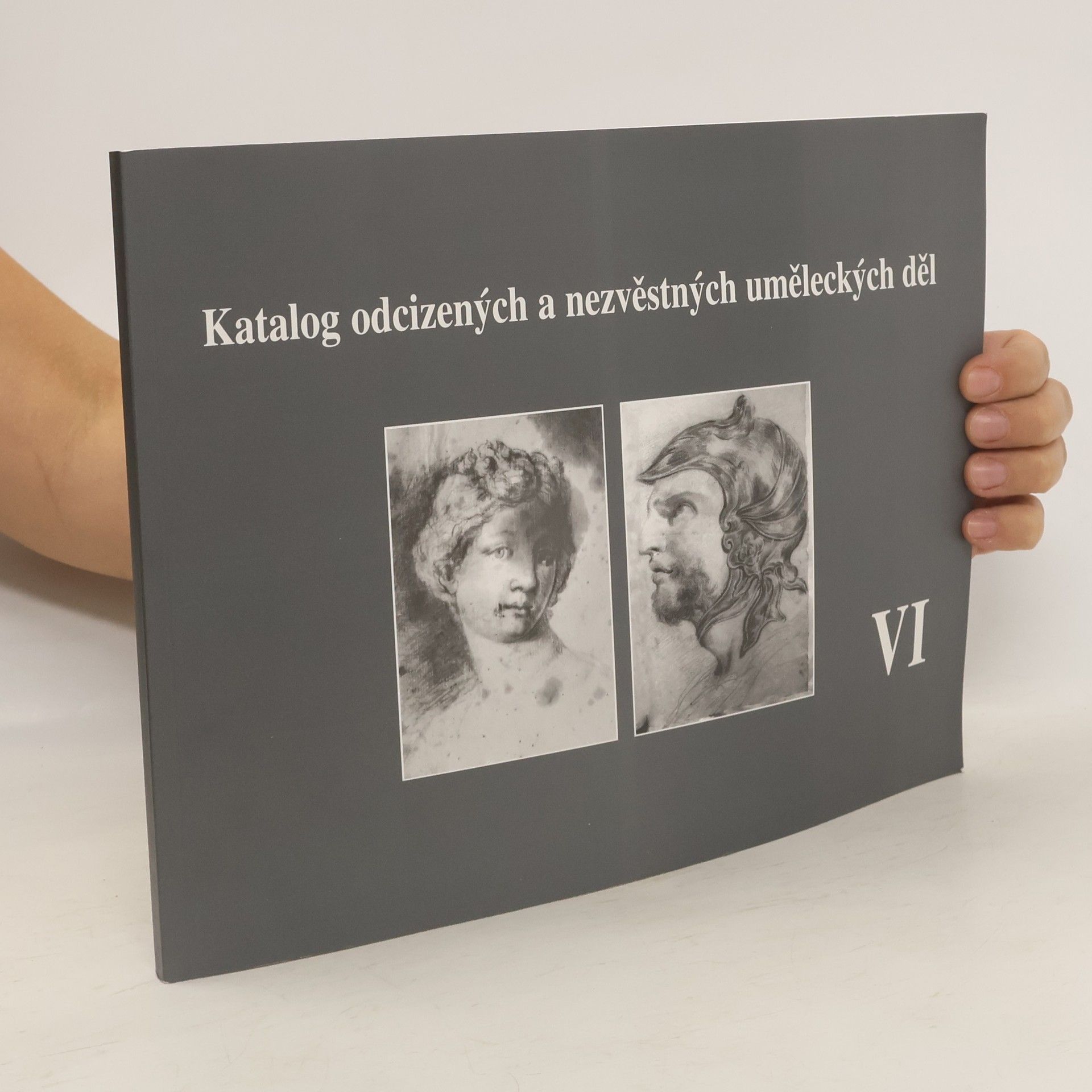 Collectif d'auteurs Katalog odcizených a nezvěstných uměleckých děl. VI