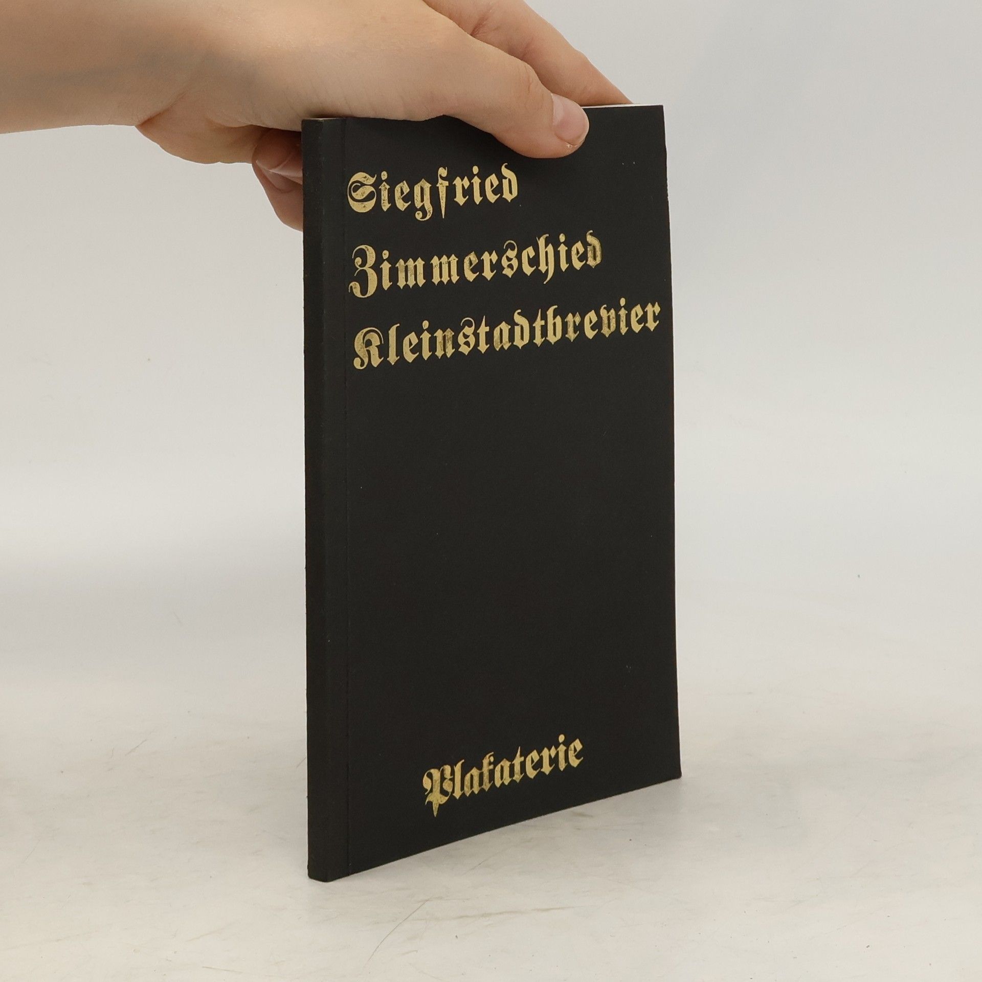 Siegfried Zimmerschied Kleinstadtbrevier