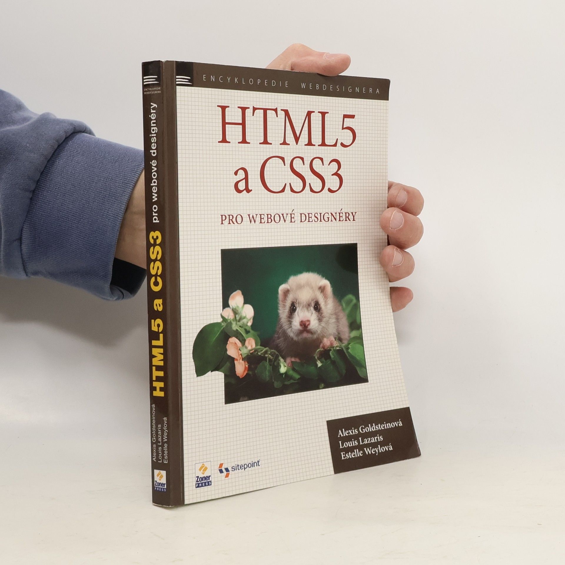 Alexis Goldstein HTML5 a CSS3 pro webové designéry