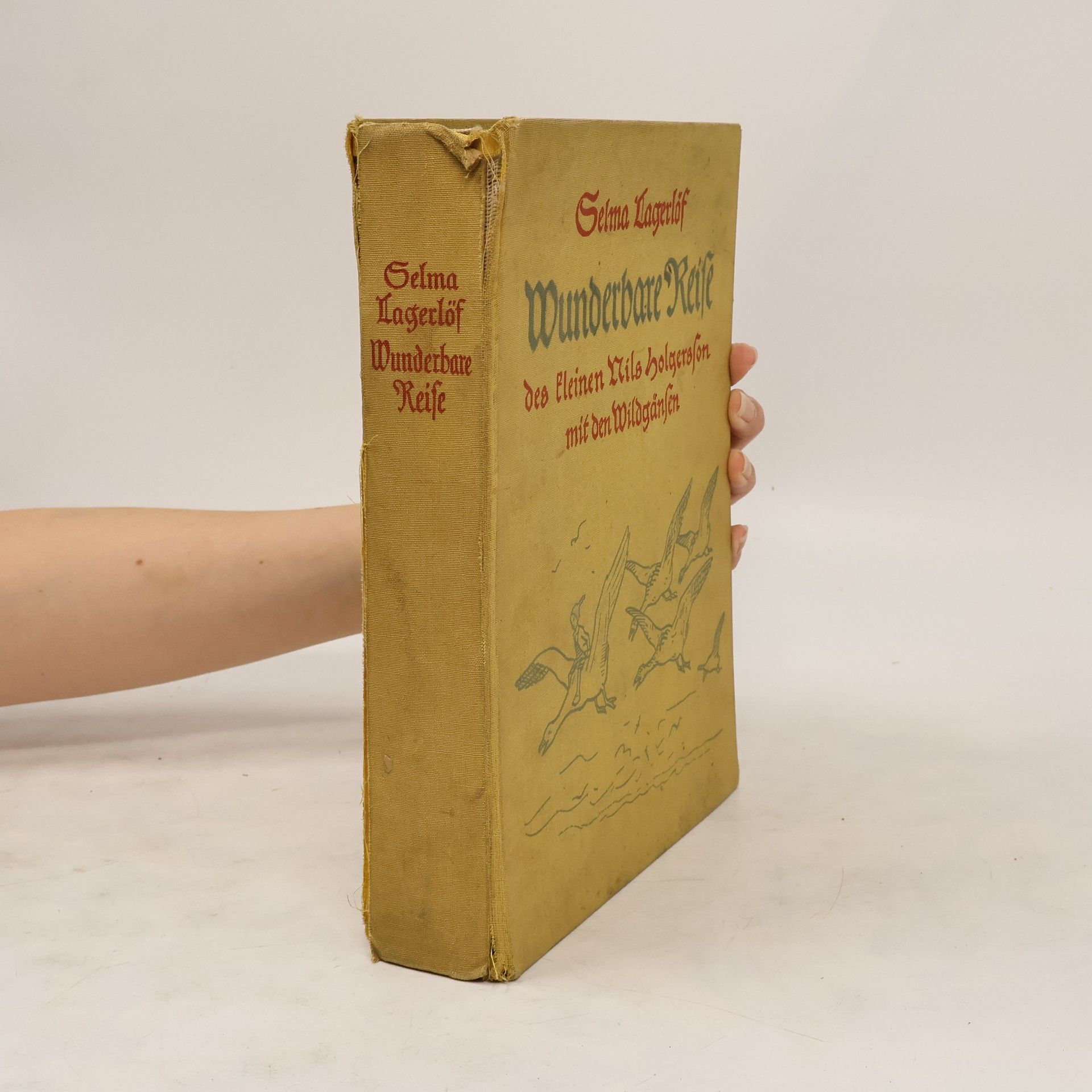 Selma Lagerlöf Wunderbare Reise. Des kleinen Nils Holgersson mit den Wildgänsen