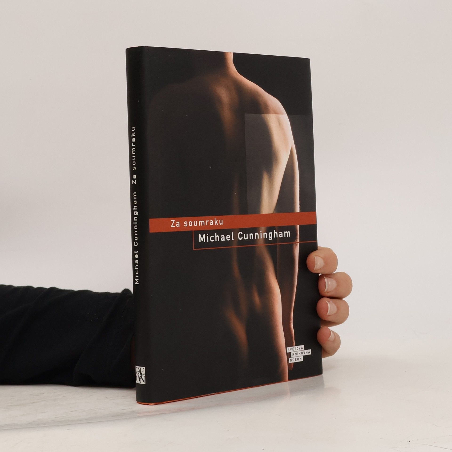 Michael Cunningham Za soumraku