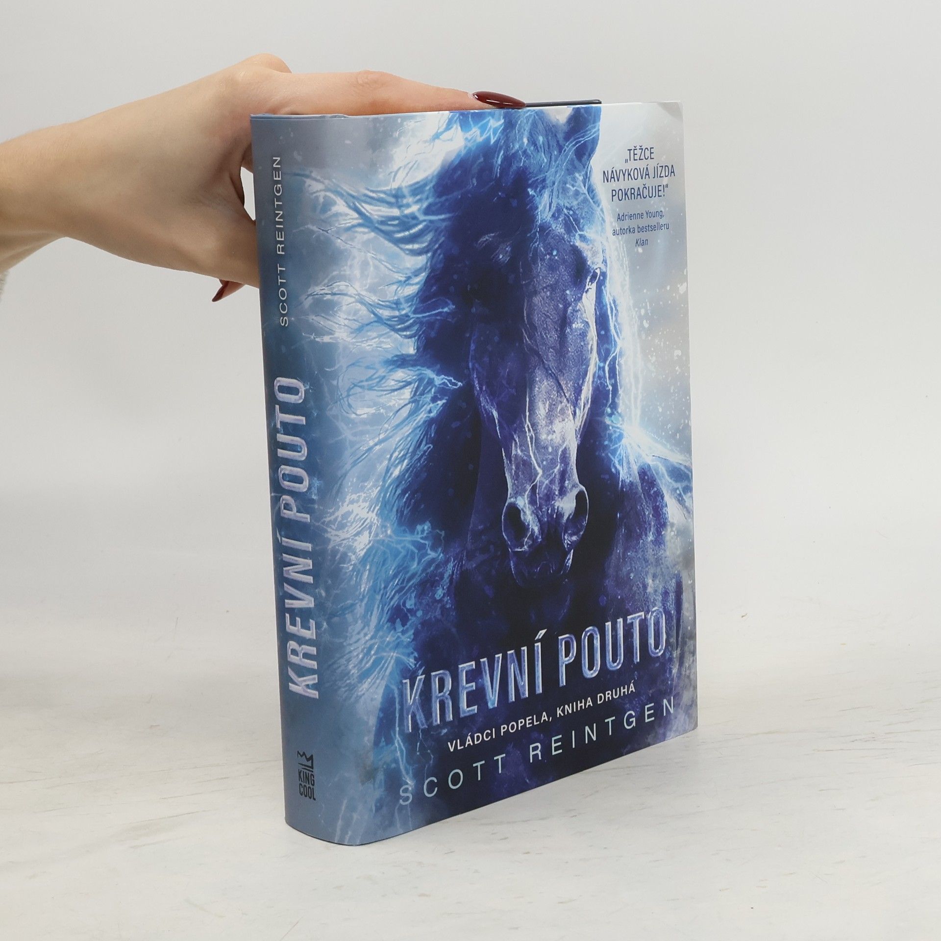 Scott Reintgen Vládci popela. Kniha druhá, Krevní pouto