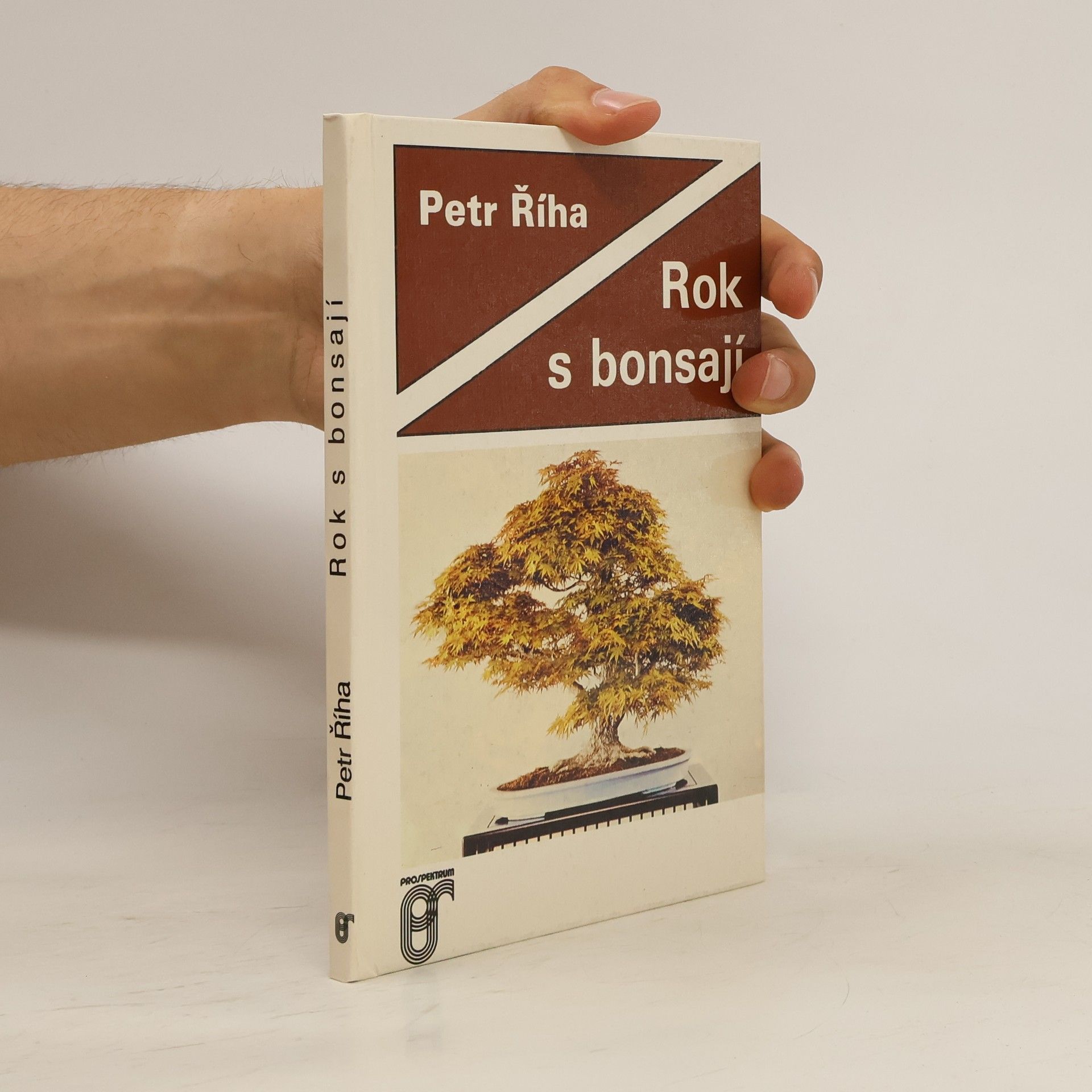Petr Říha Rok s bonsají
