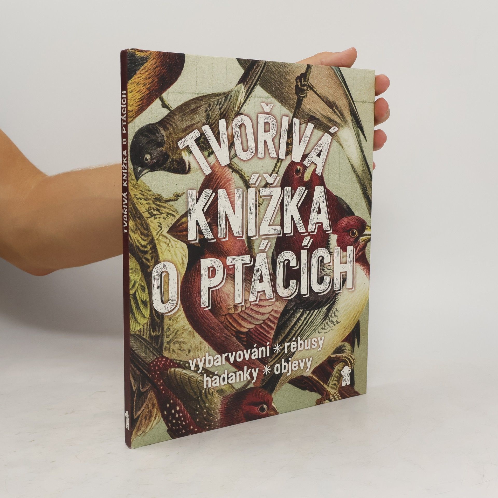 Geert Jan Roebers Tvořivá knížka o ptácích