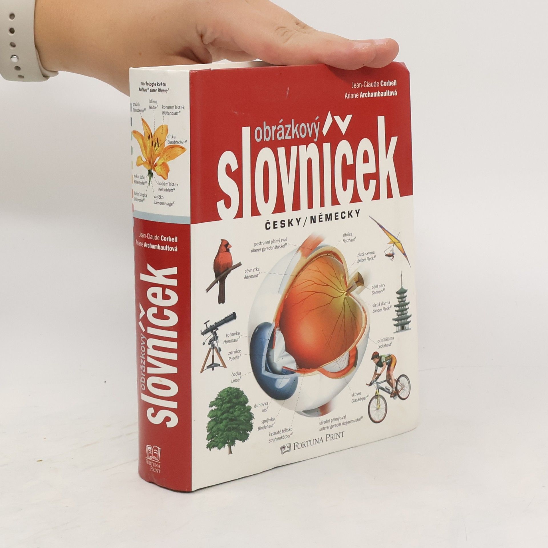 Jean-Claude Corbeil Obrázkový slovníček česky/německy