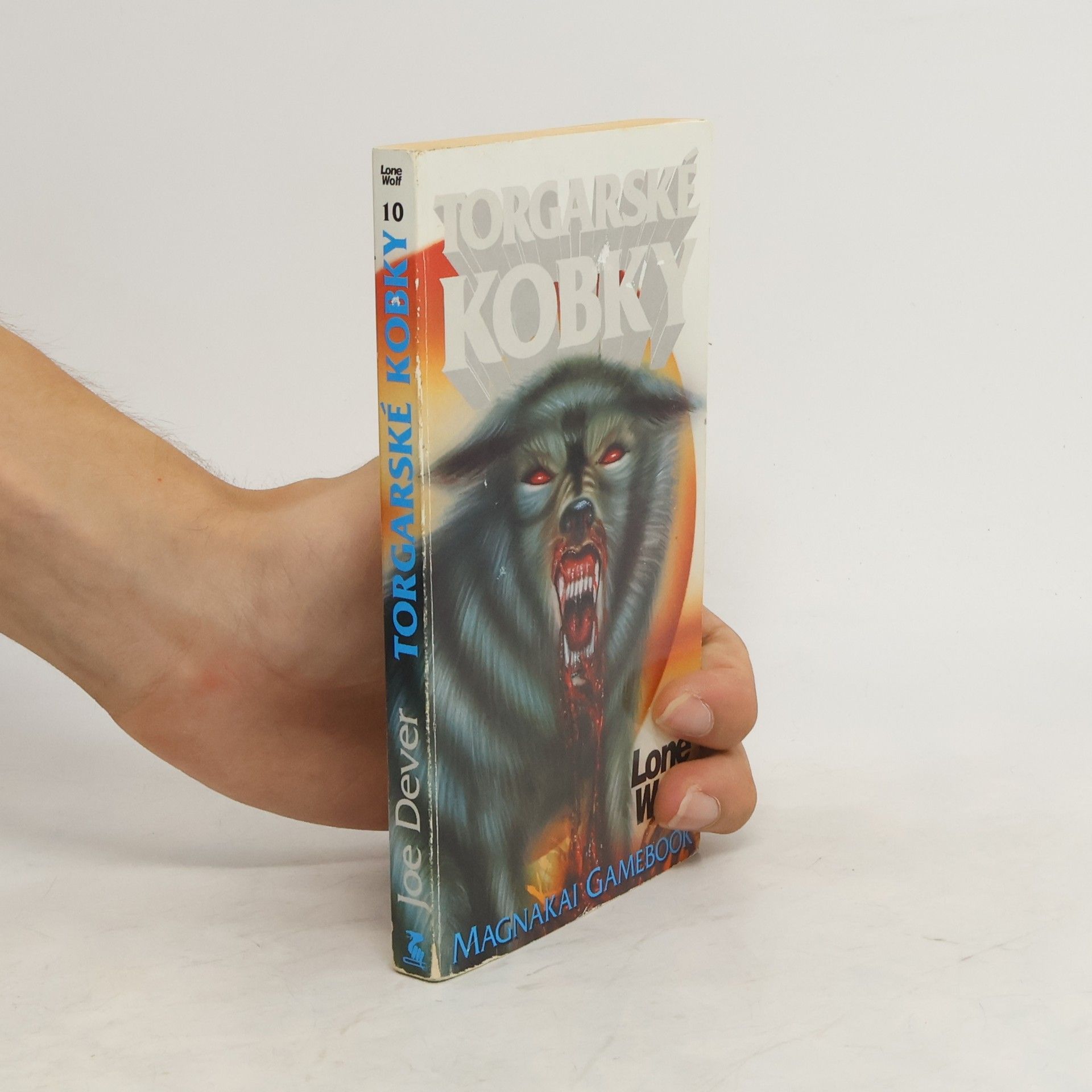 Joe Dever Torgarské kobky