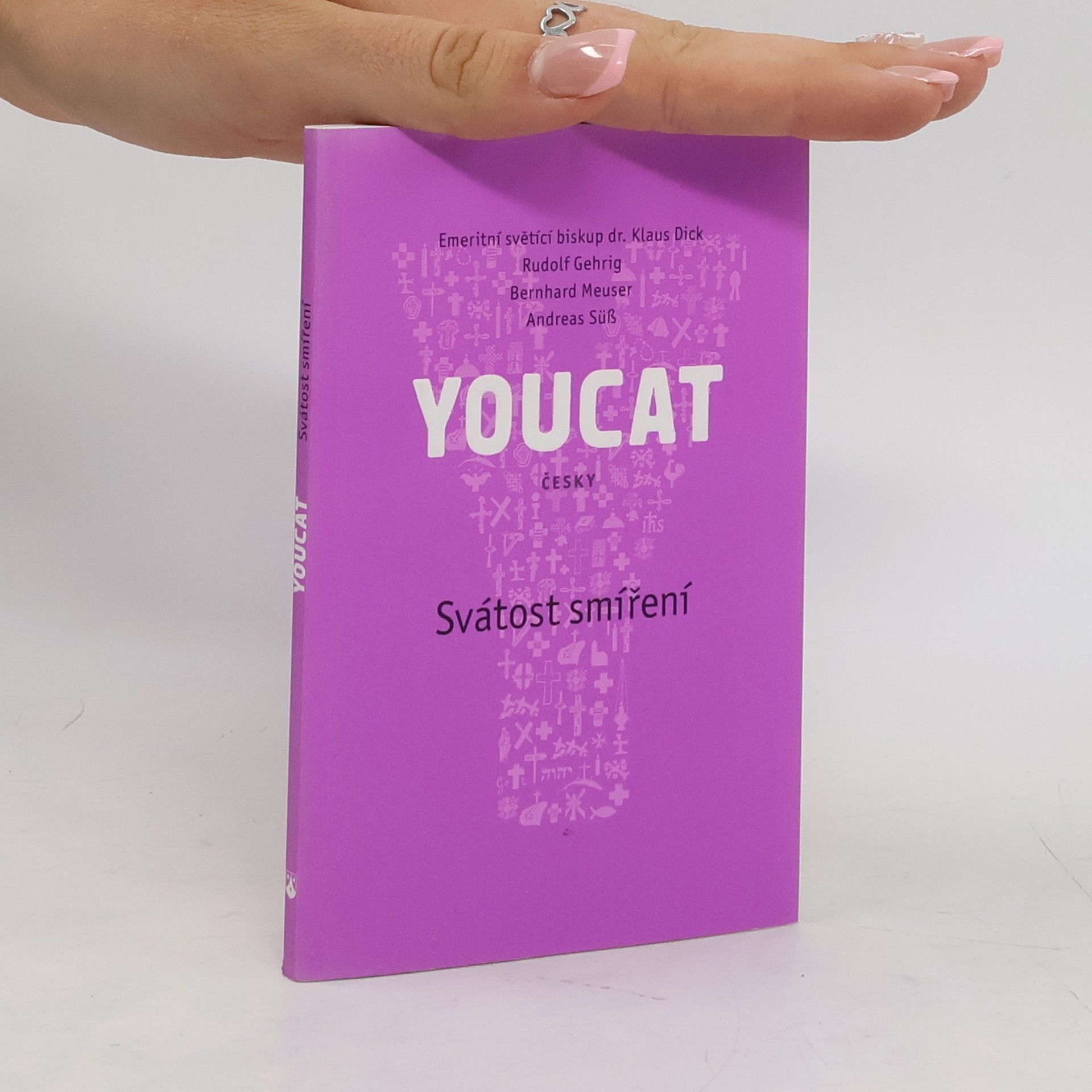 Bernhard Meuser YOUCAT. Svátost smíření