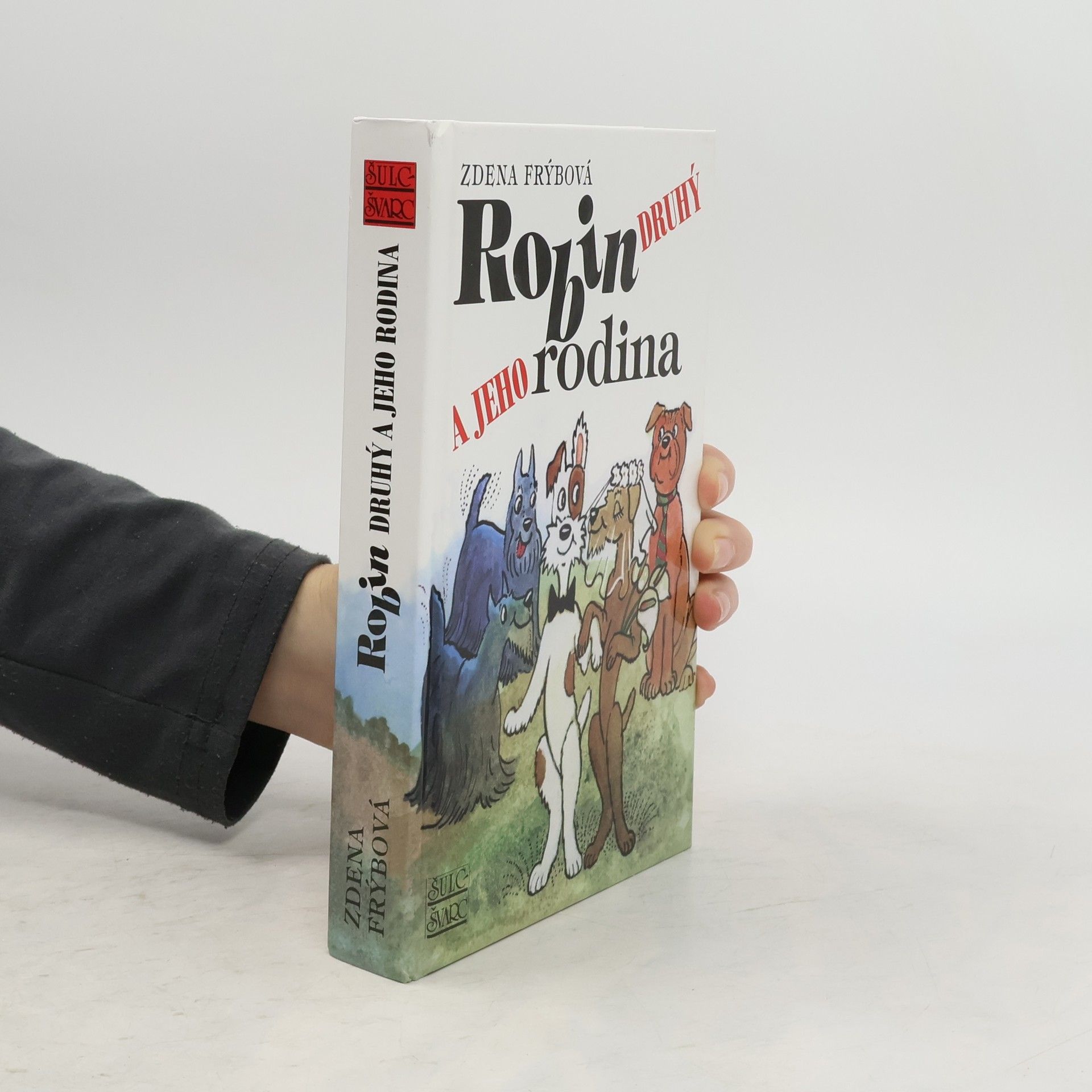 Zdena Frýbová Robin Druhý a jeho rodina