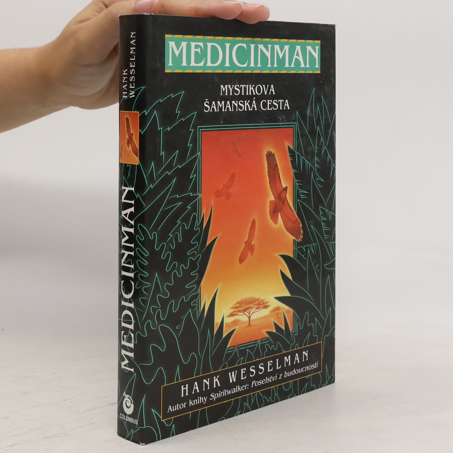 Hank Wesselman Medicinman. Mystik se vydává na šamanskou cestu