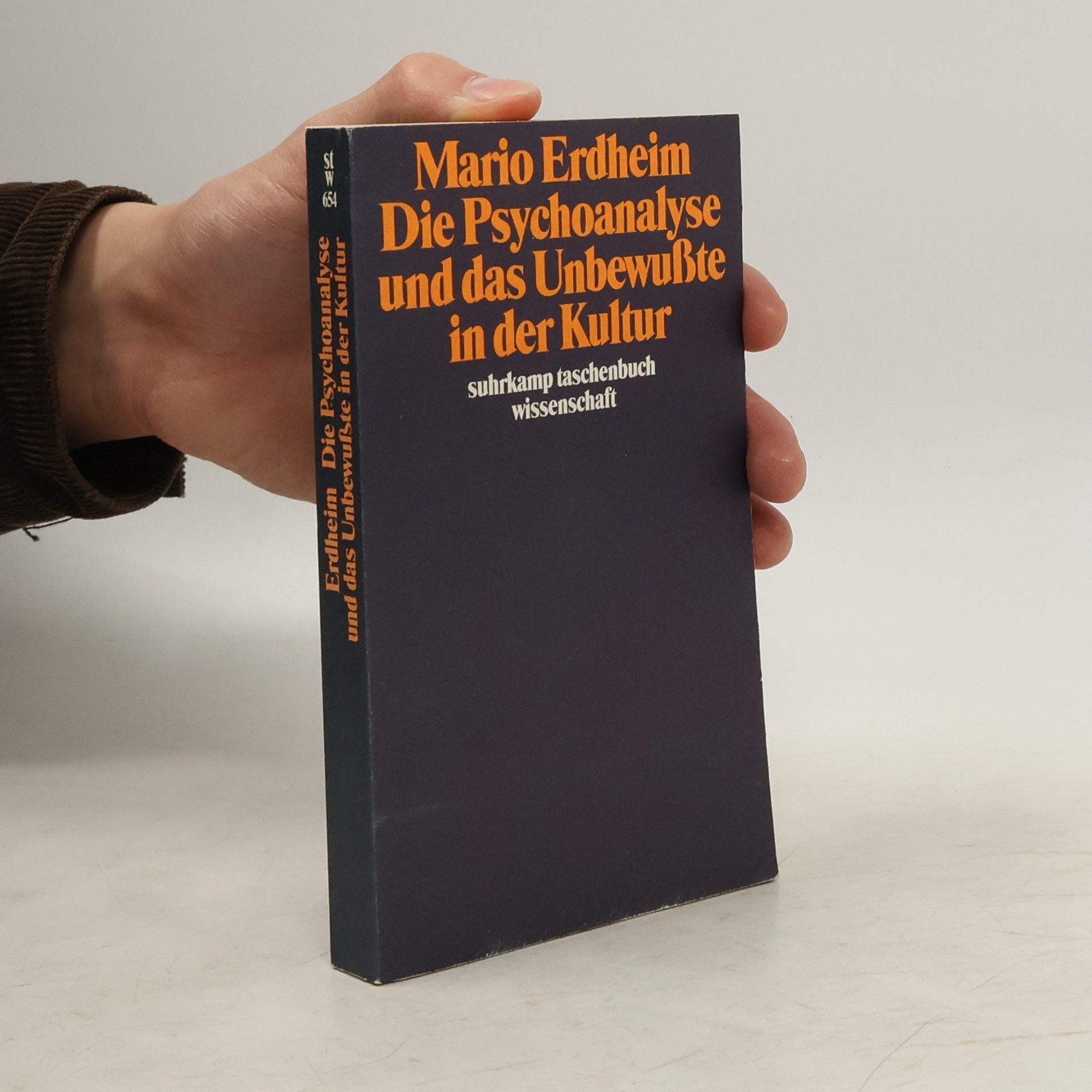 Mario Erdheim Psychoanalyse und Unbewusstheit in der Kultur