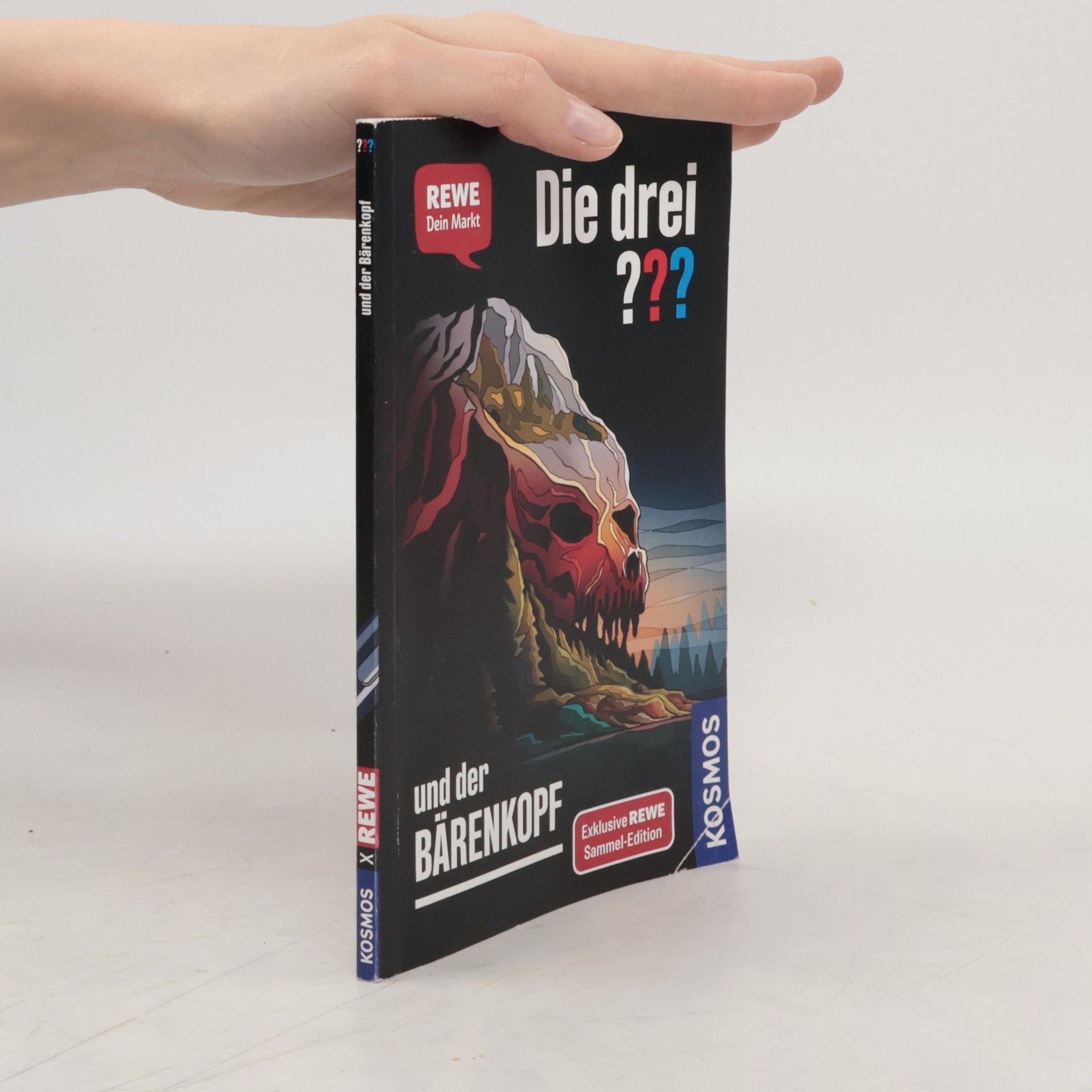 Andreas Ruch Die drei ??? und der Bärenkopf