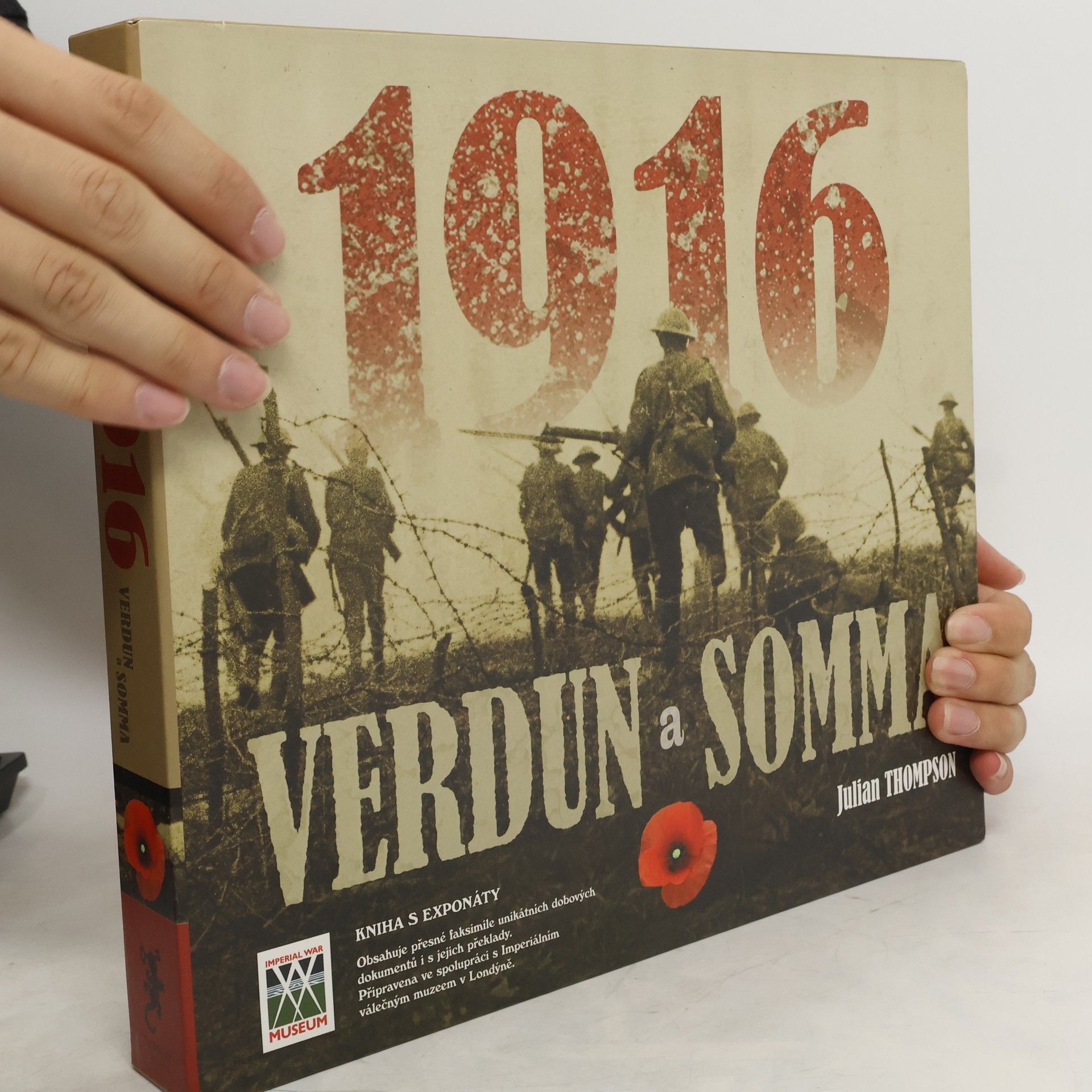 Julian Thompson 1916 Verdun a Somma