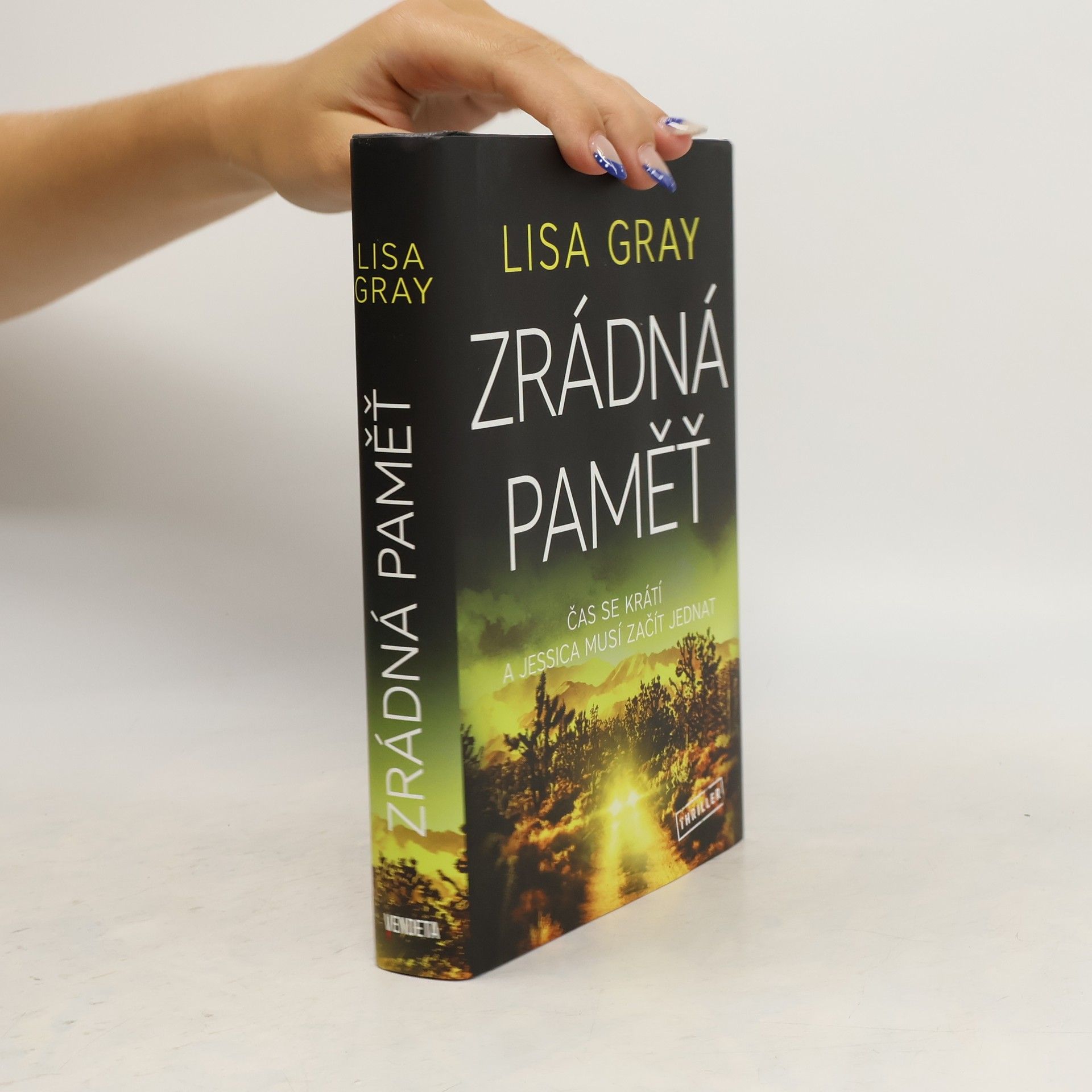 Lisa Gray Zrádná paměť