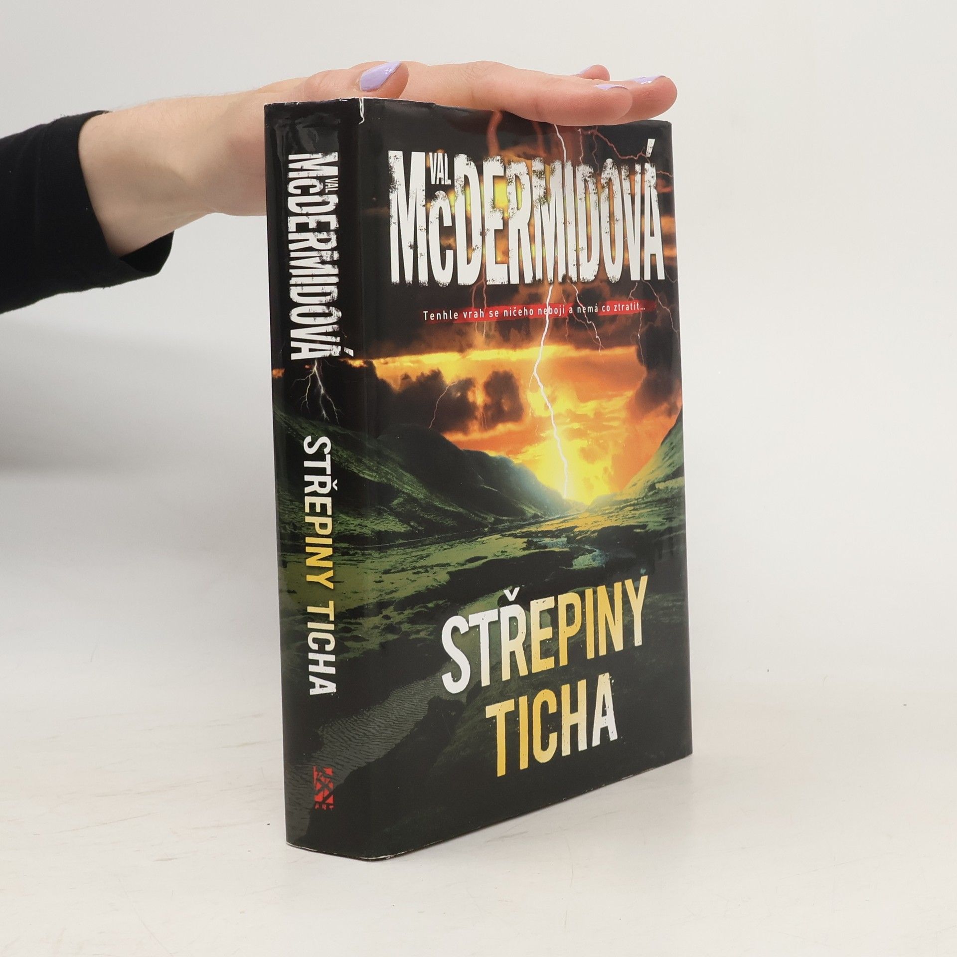 Val McDermid Střepiny ticha