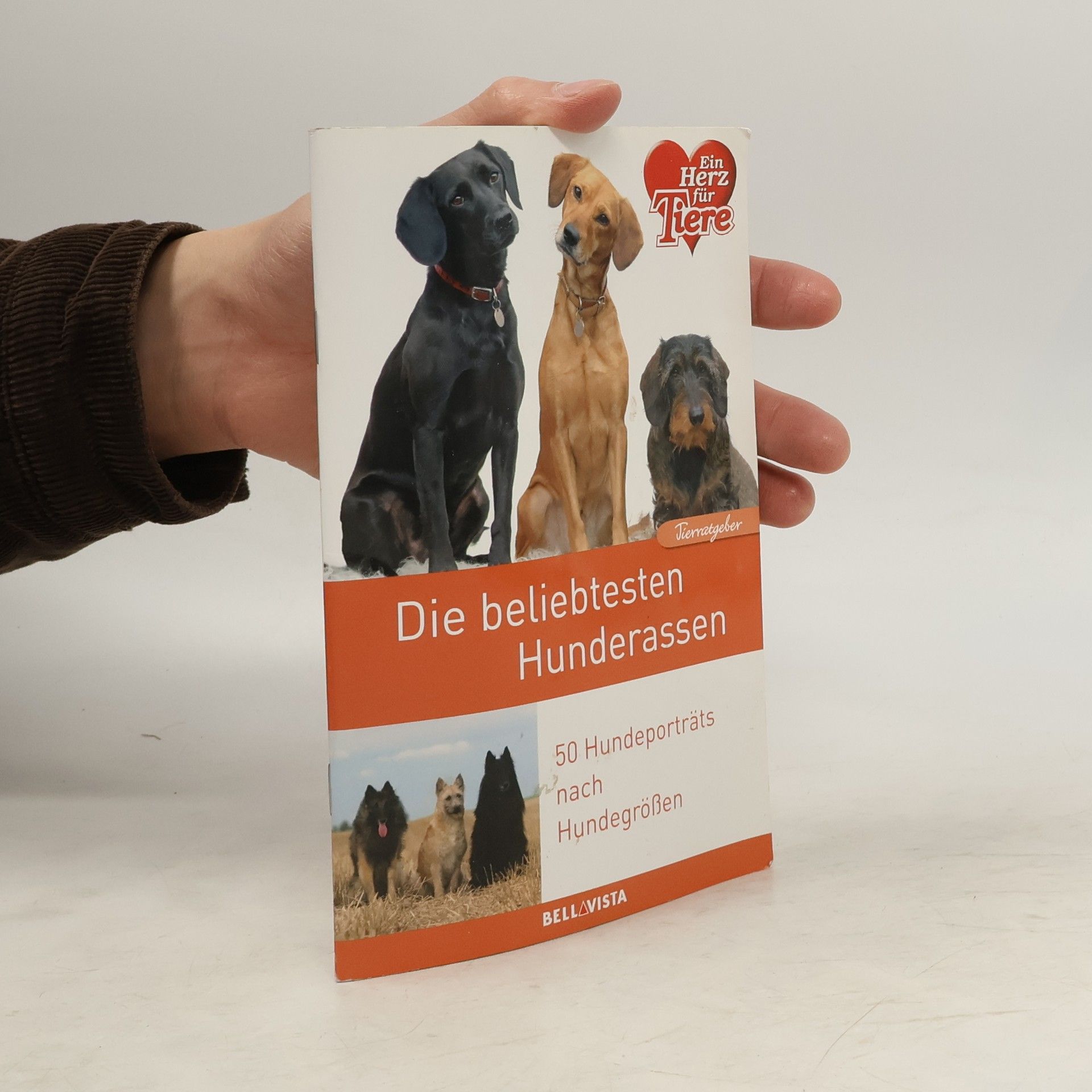 Autores varios Die beliebtesten Hunderassen