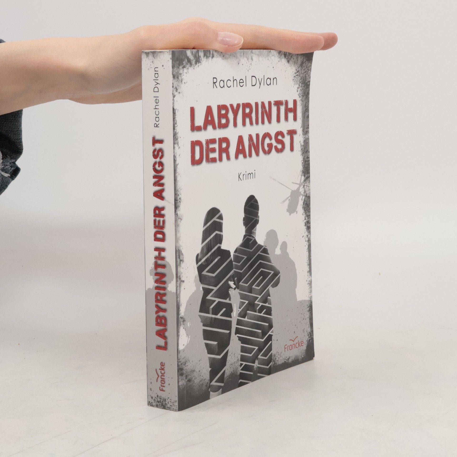 Rachel Dylan Labyrinth der Angst