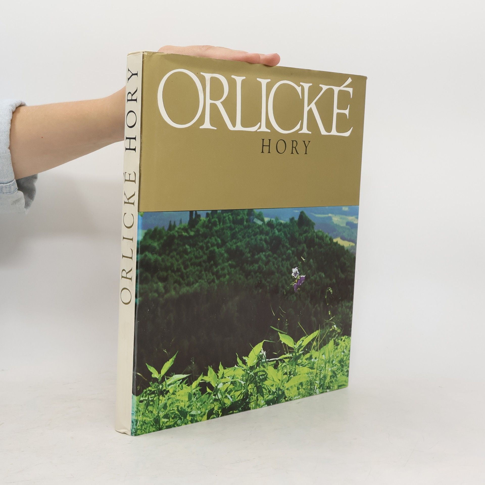 Karel Michal Orlické hory