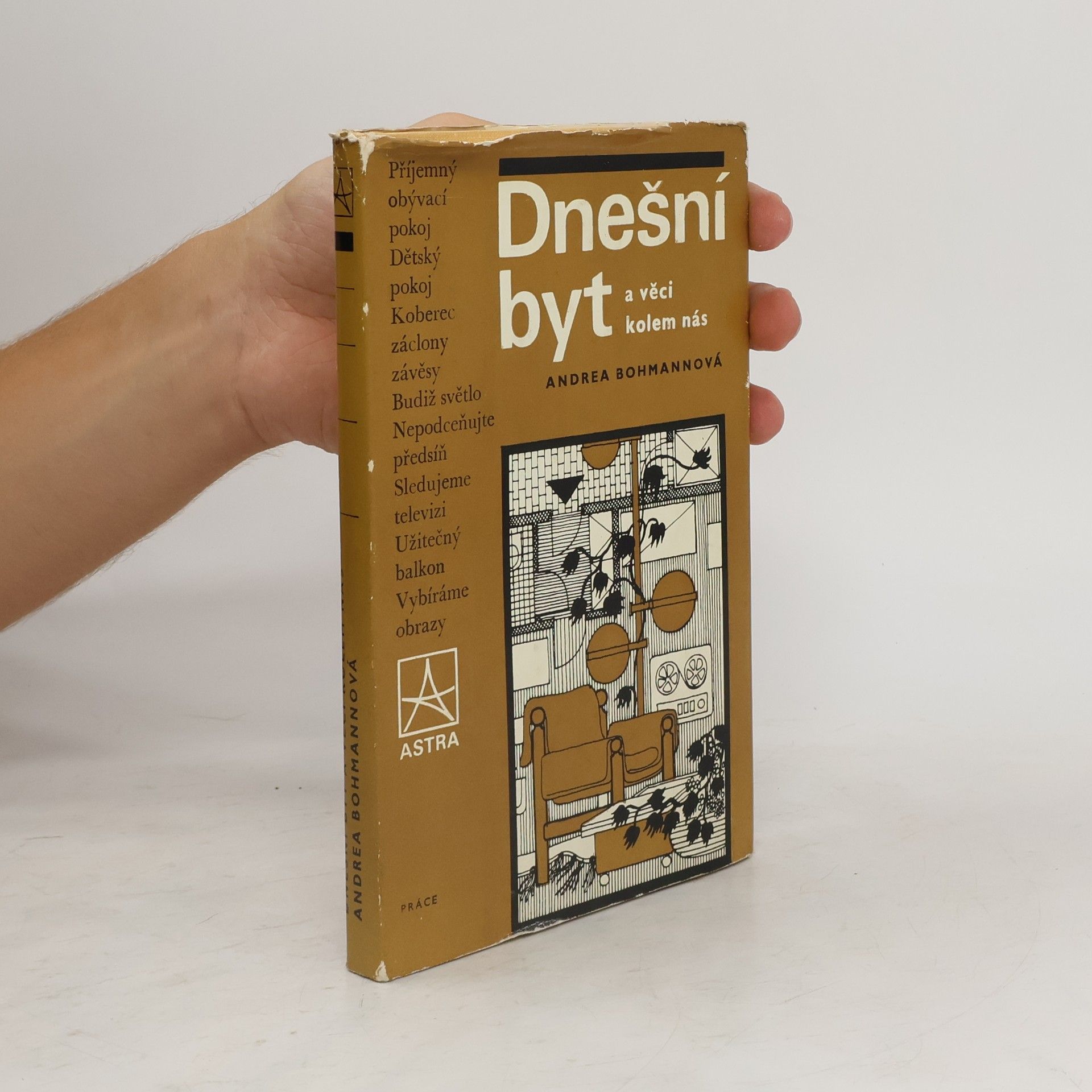 Andrea Bohmannová Dnešní byt a věci kolem nás