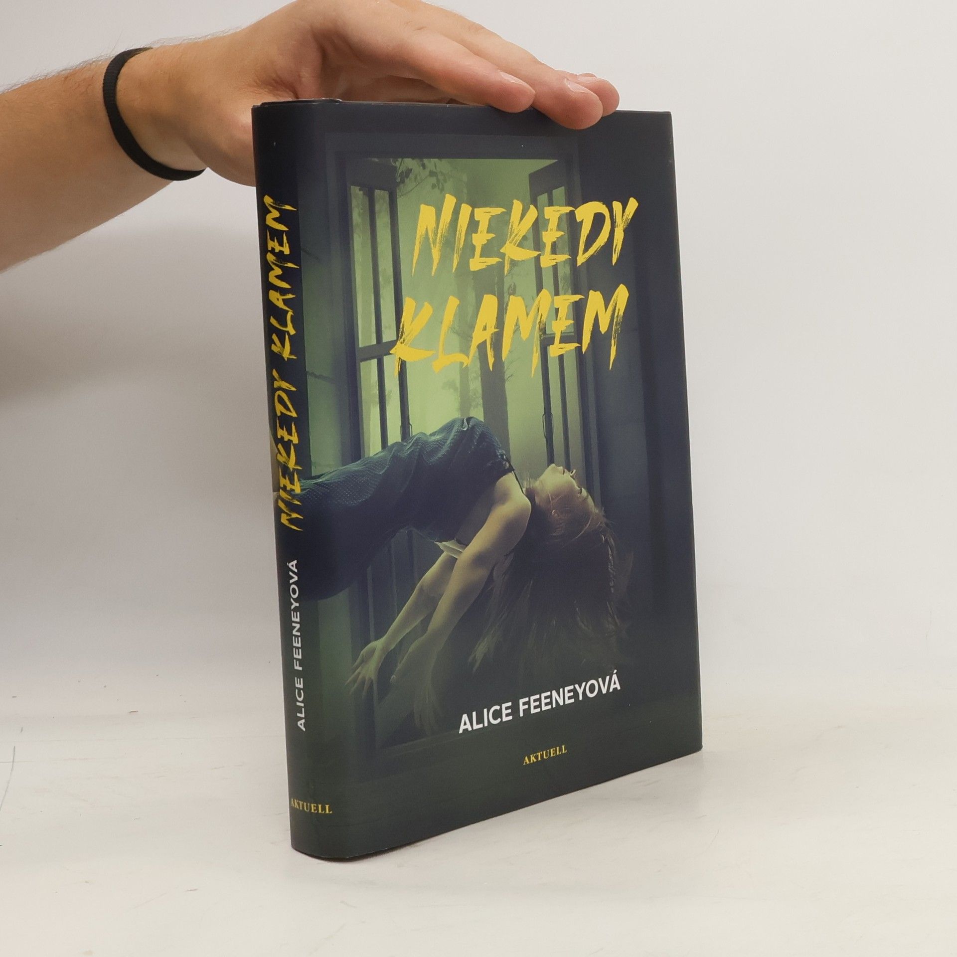 Alice Feeney Niekedy klamem