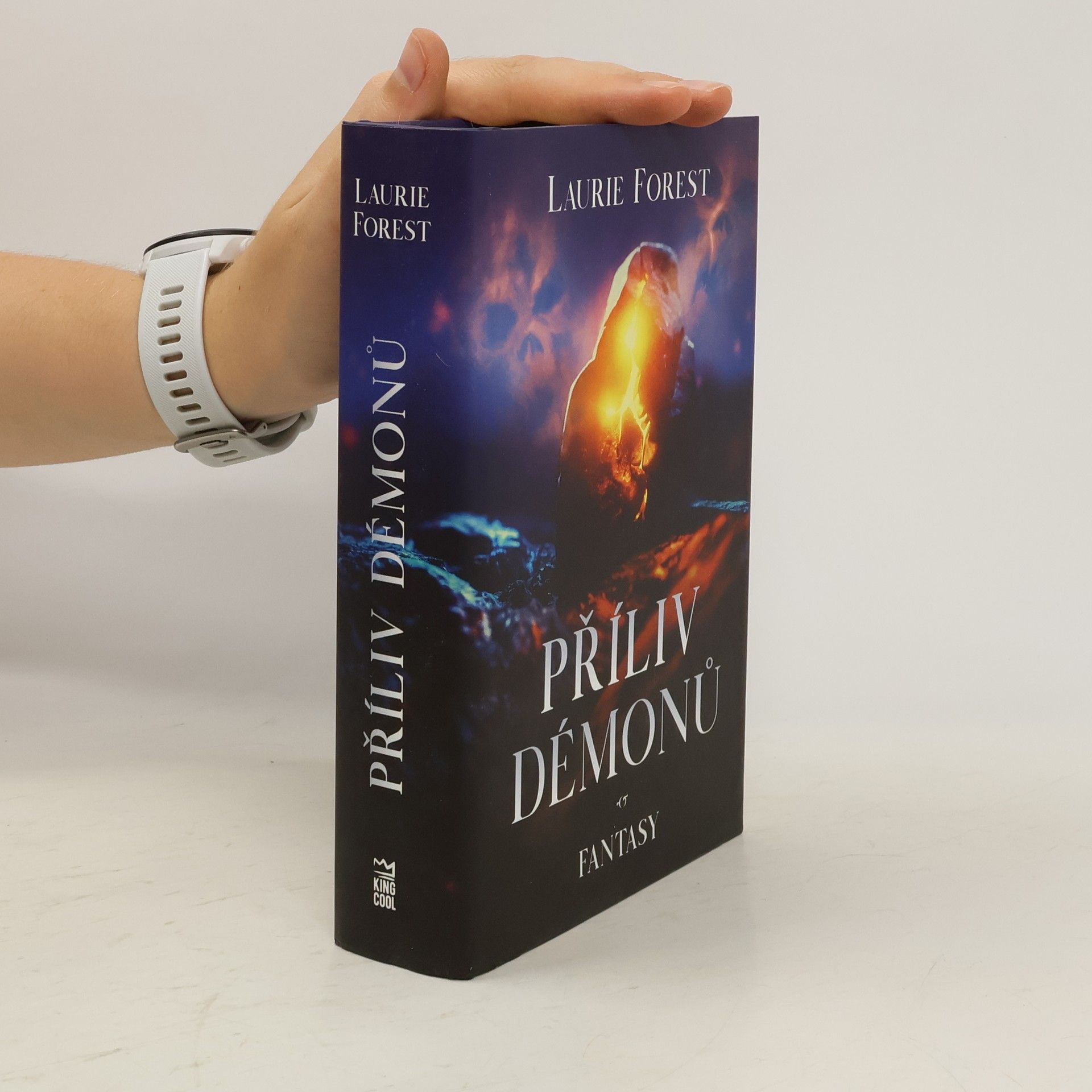 Laurie Forest Příliv démonů