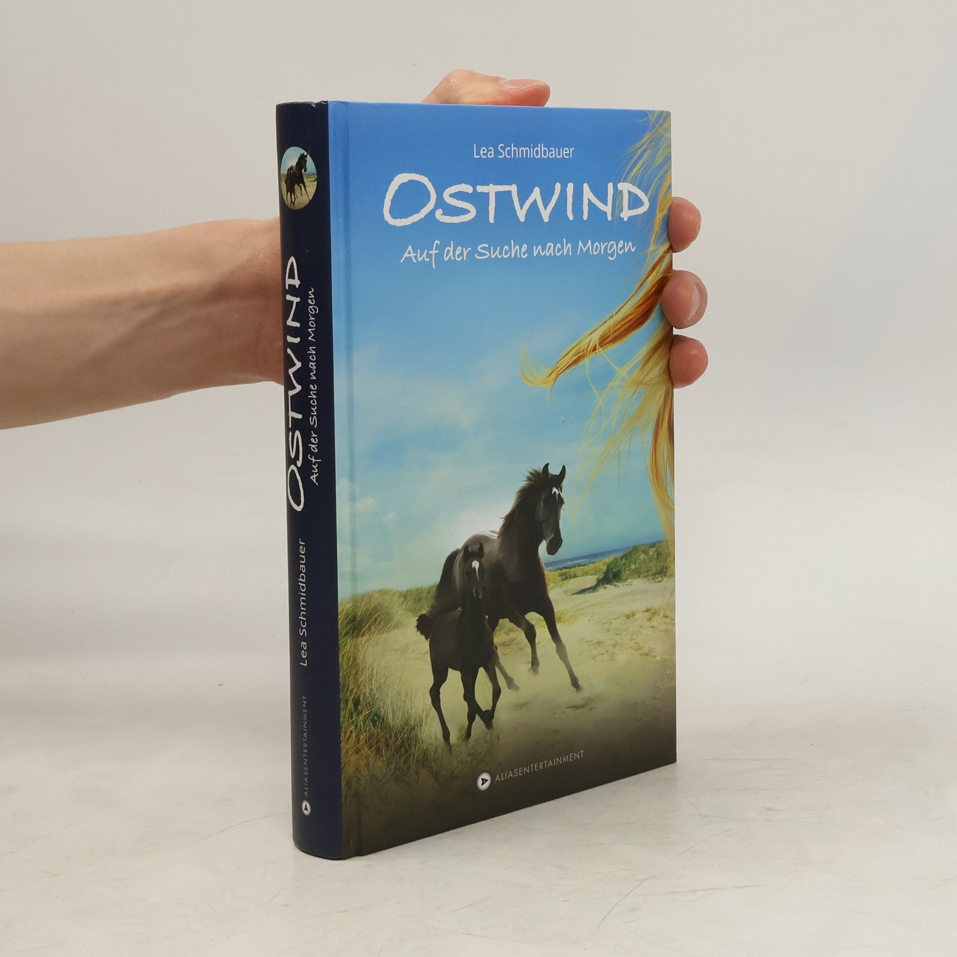 Lea Schmidbauer Ostwind - auf der Suche nach Morgen
