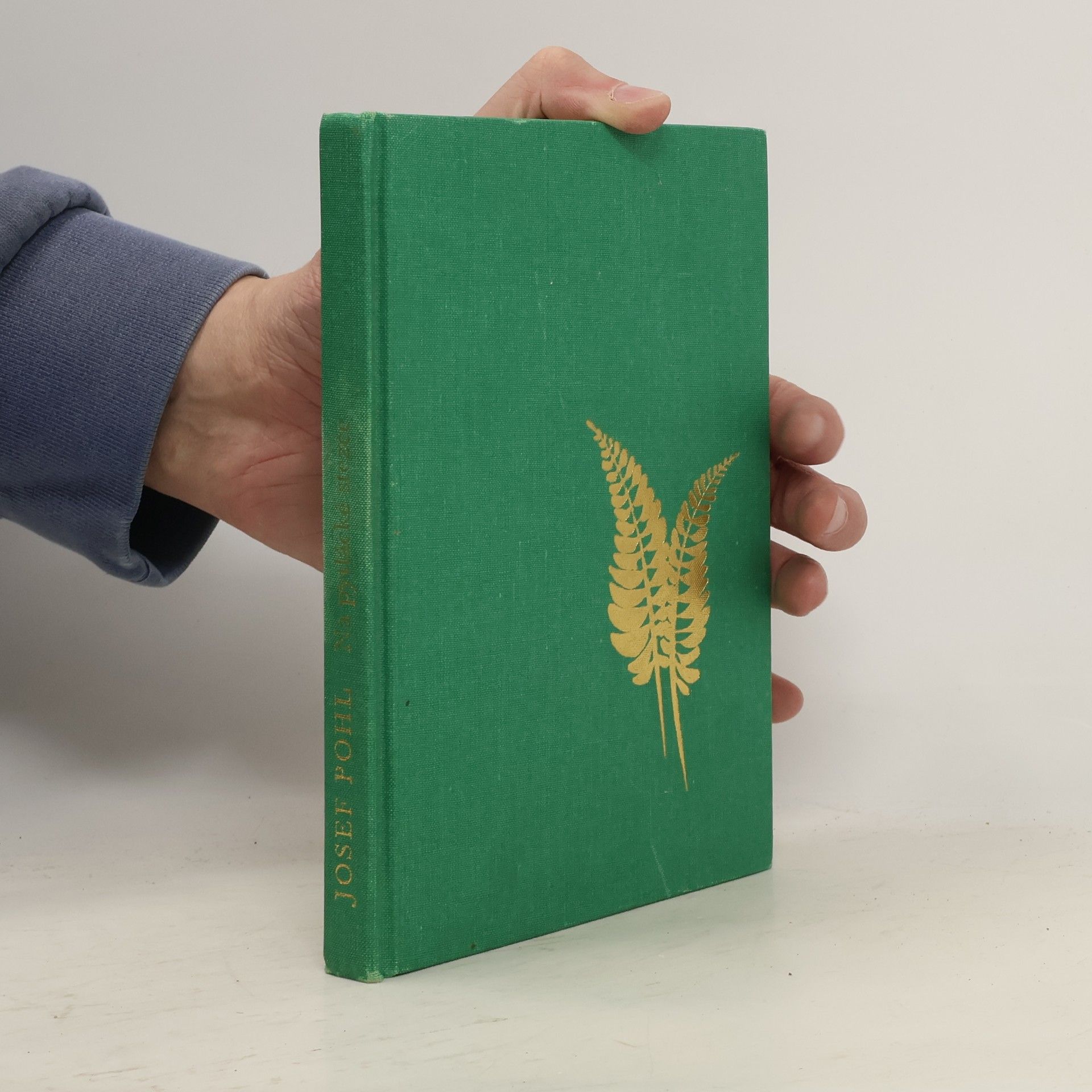 Na pytlácké stezce