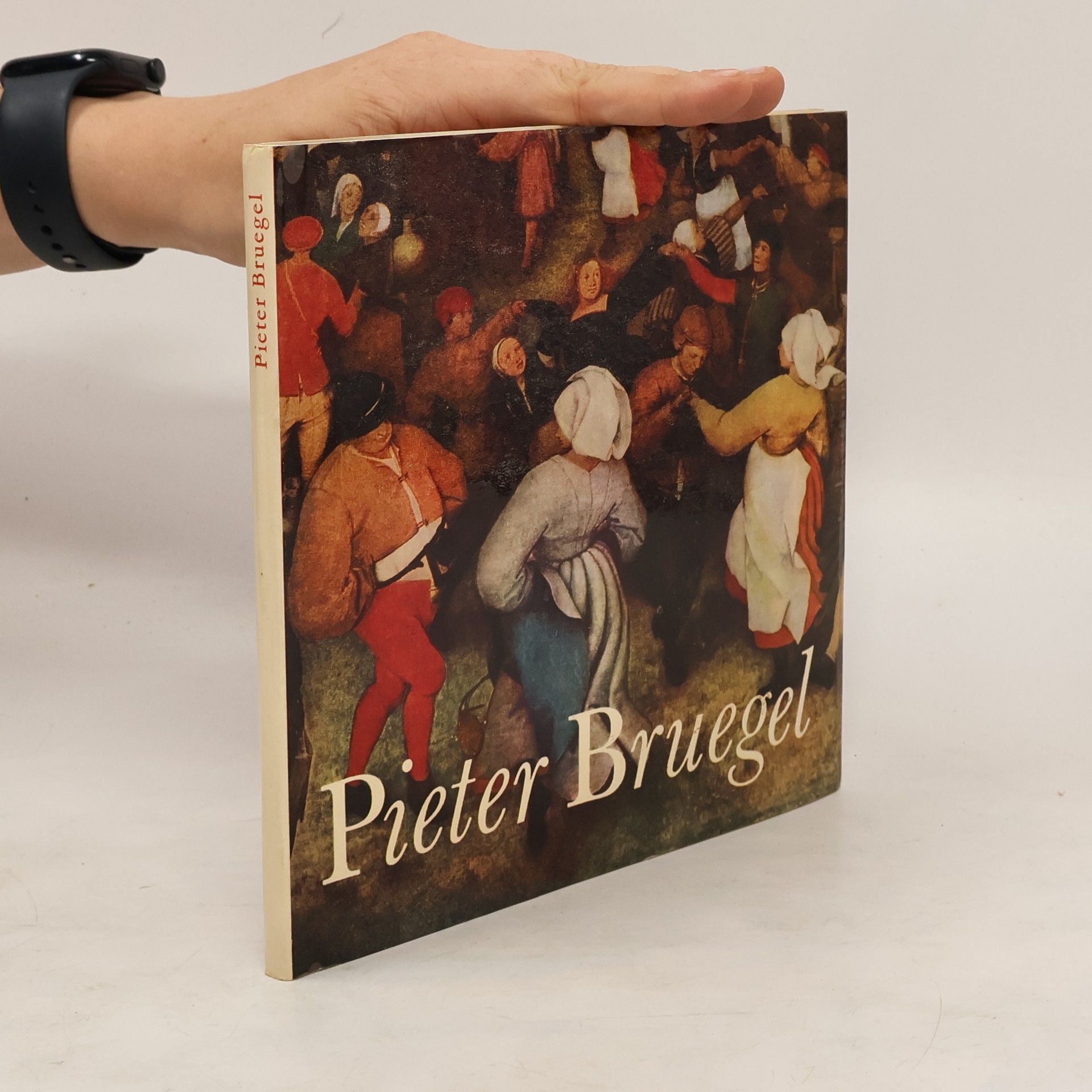 Jaromír Neumann Pieter Bruegel