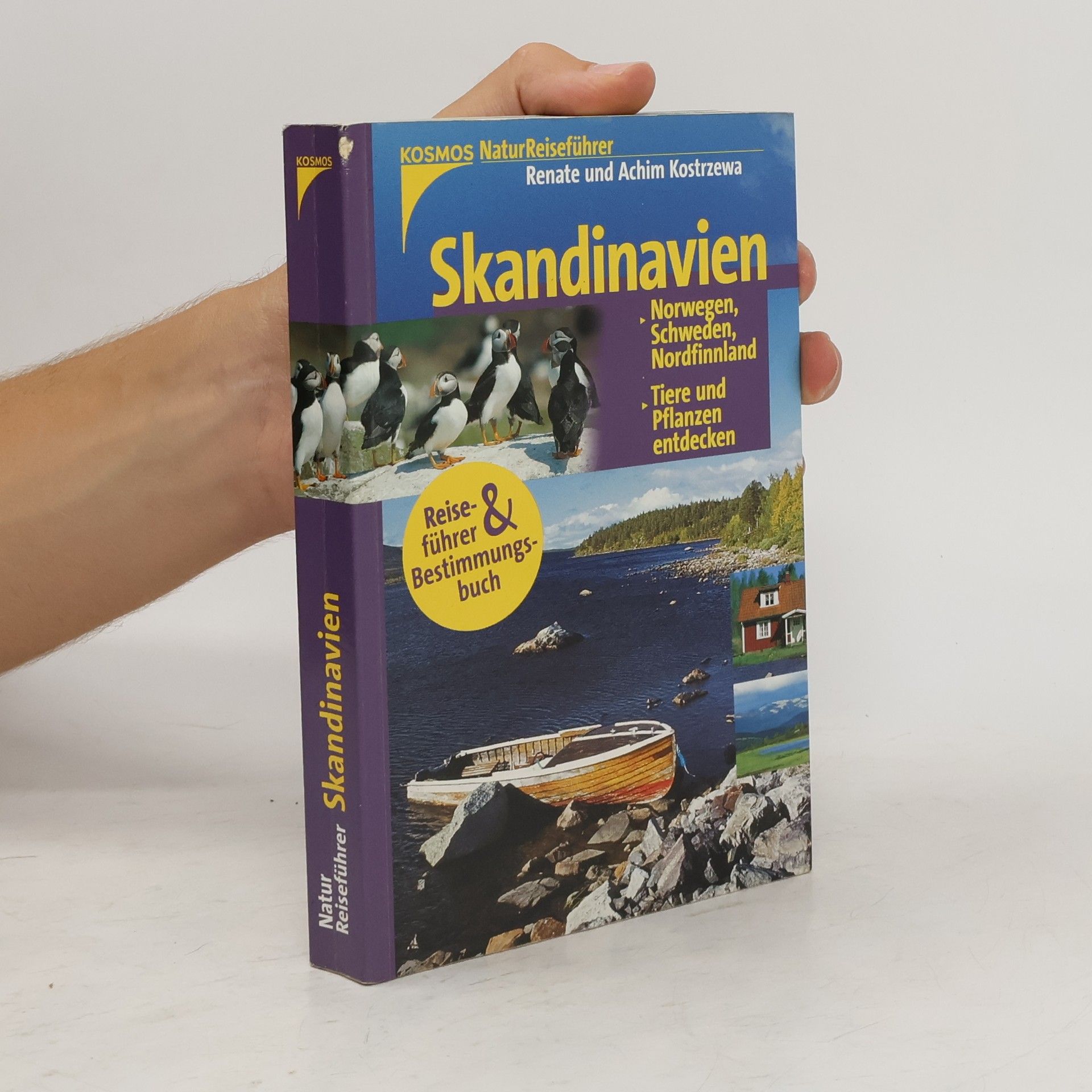 Renate Kostrzewa Skandinavien