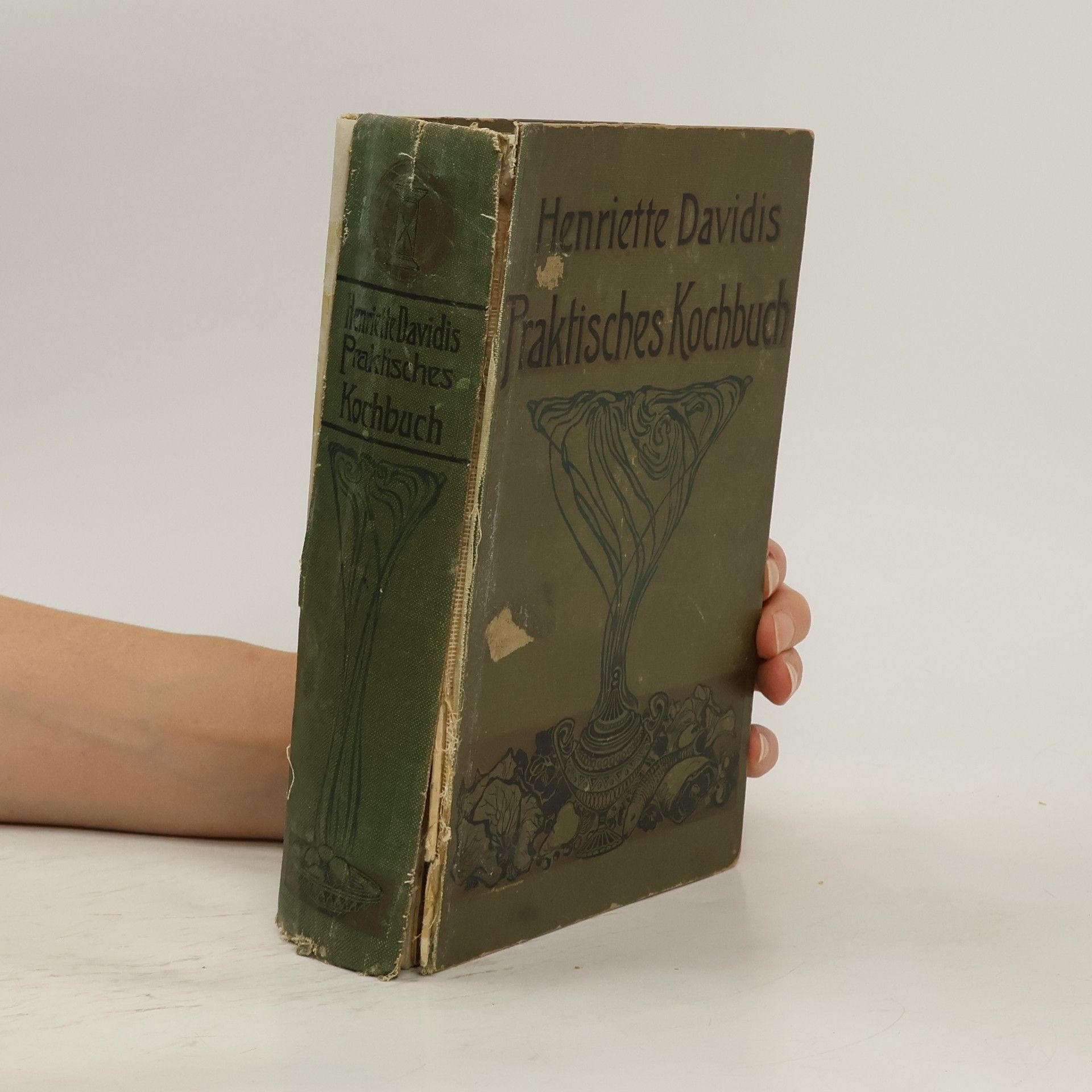 Henriette Davidis Praktisches Kochbuch