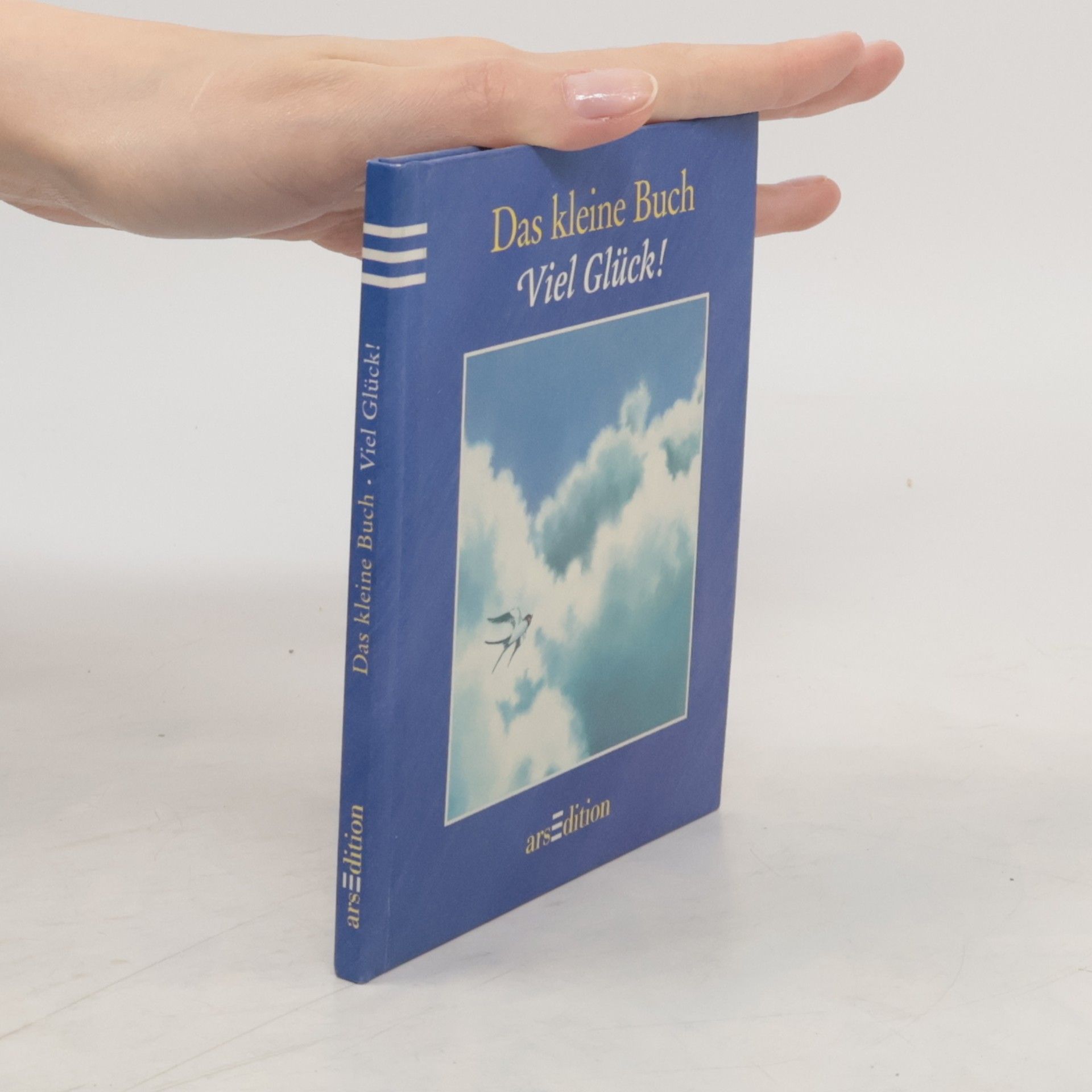 Autorenkollektiv Das kleine Buch - viel Glück!