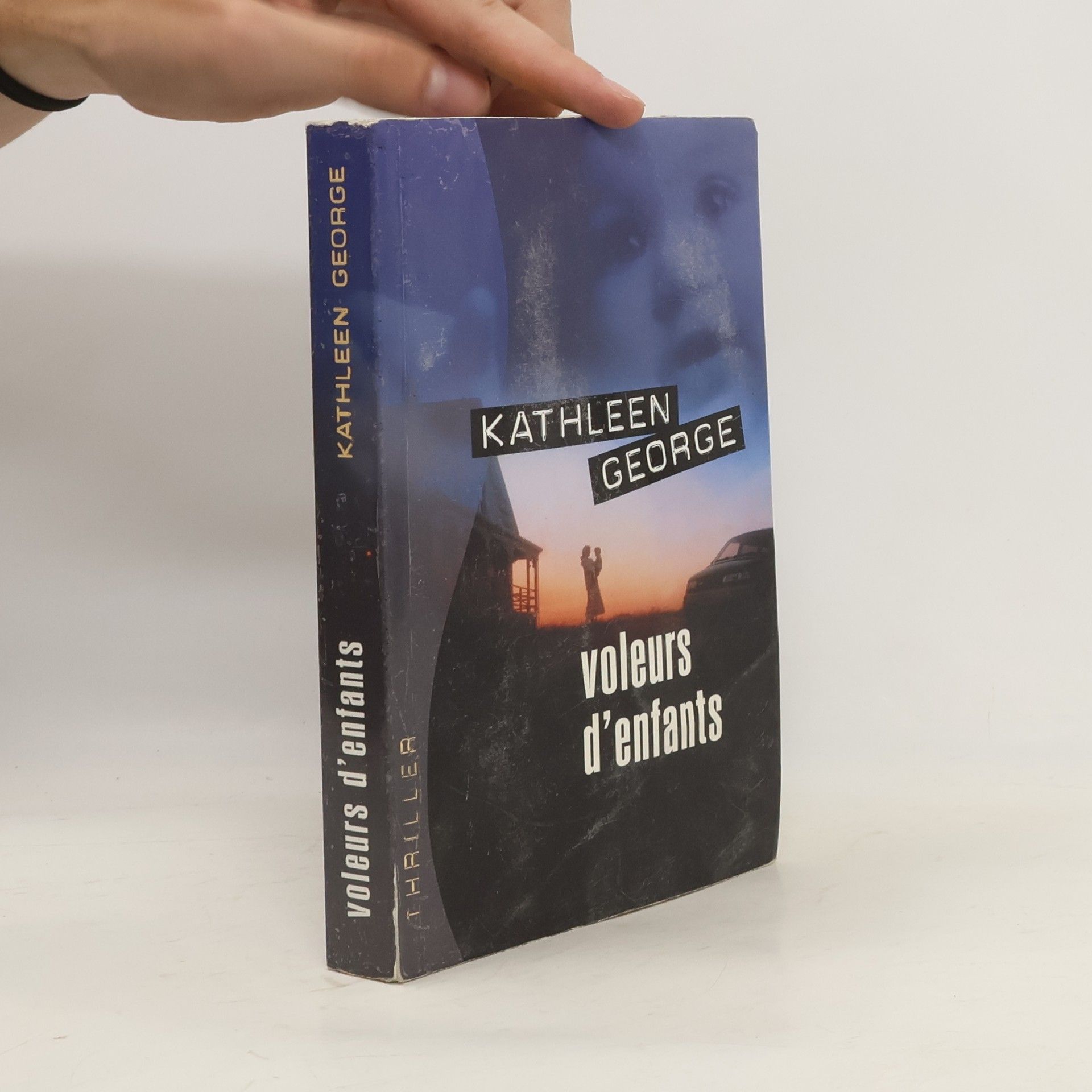 Kathleen George Voleurs d'enfants