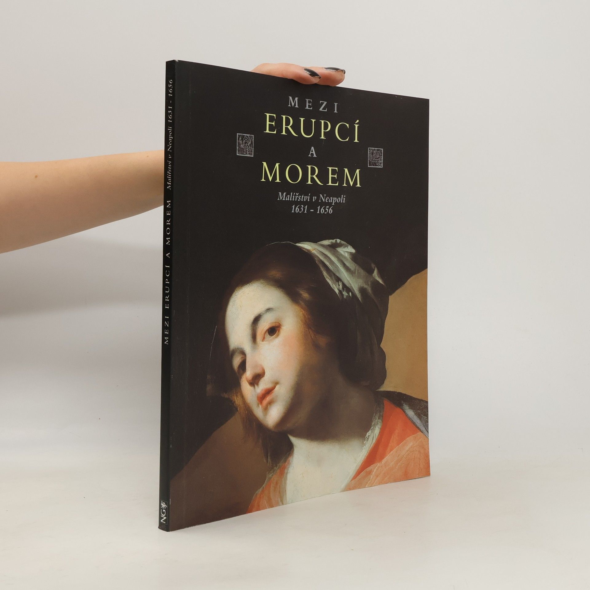 Ladislav Daniel Mezi erupcí a morem : malířství v Neapoli 1631-1656