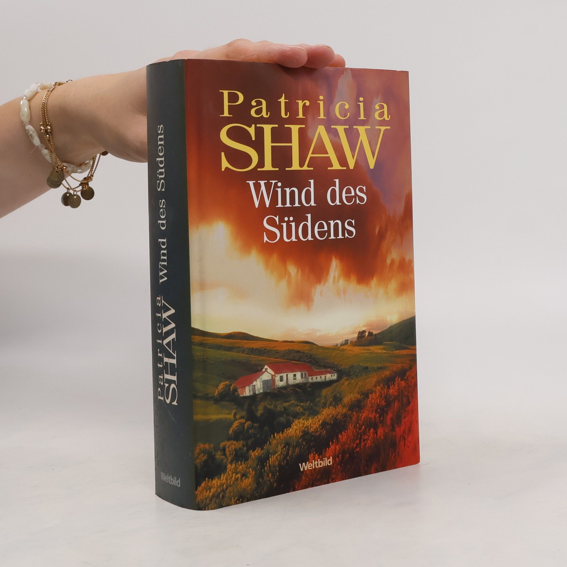 Patricia Shaw Wind des Südens