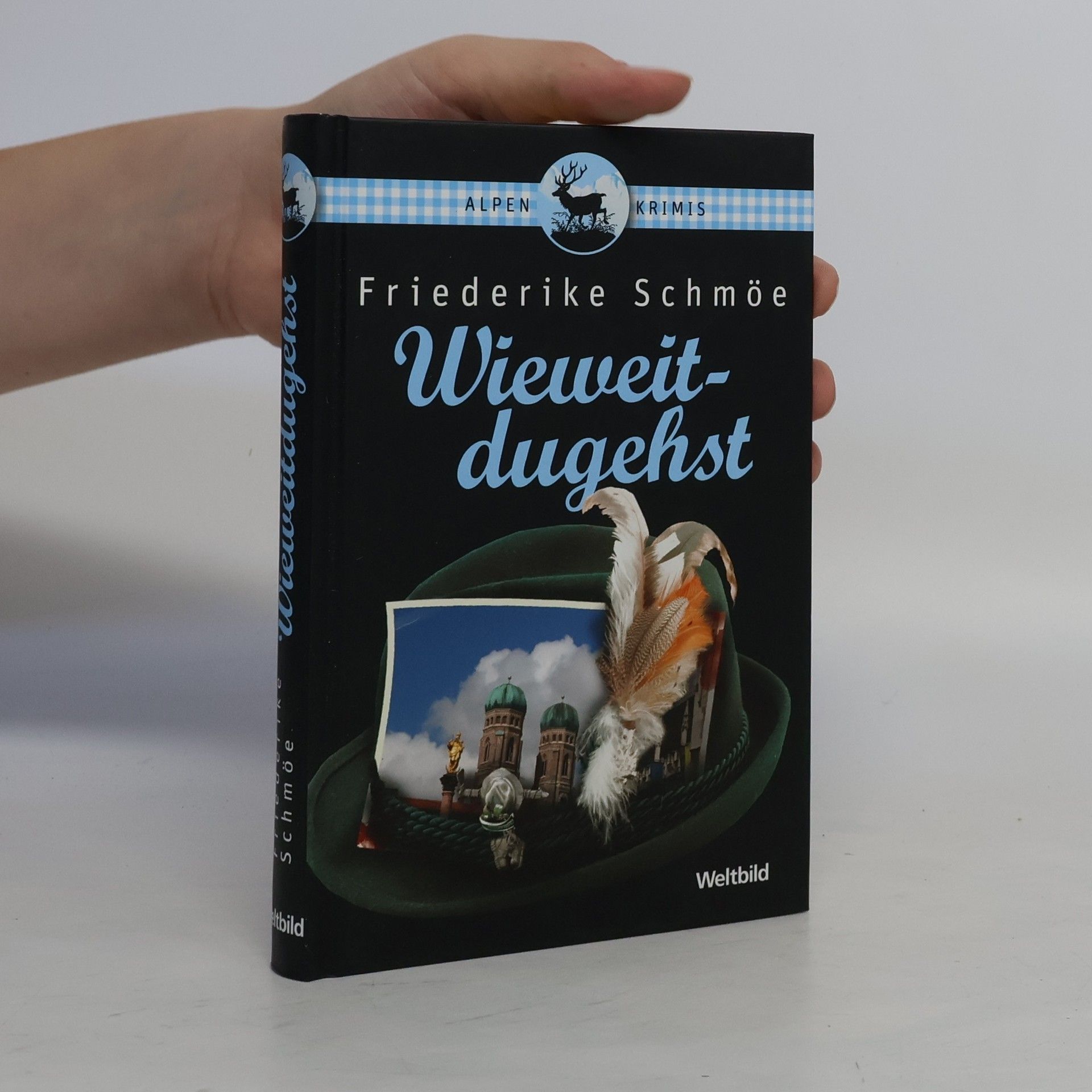 Friederike Schmöe Wieweitdugehst