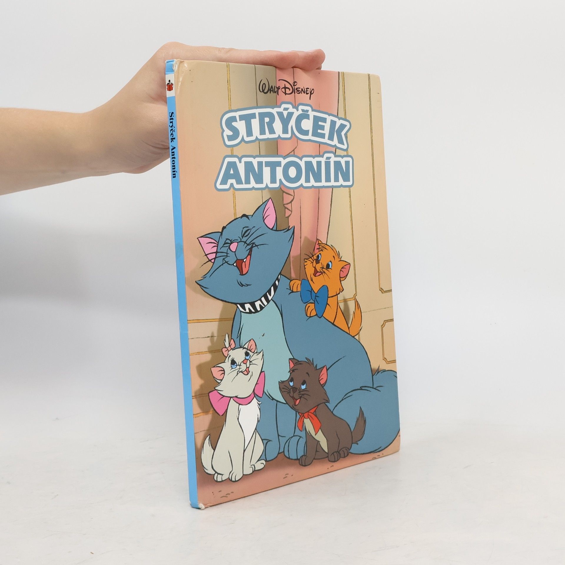 Collectif d'auteurs Strýček Antonín
